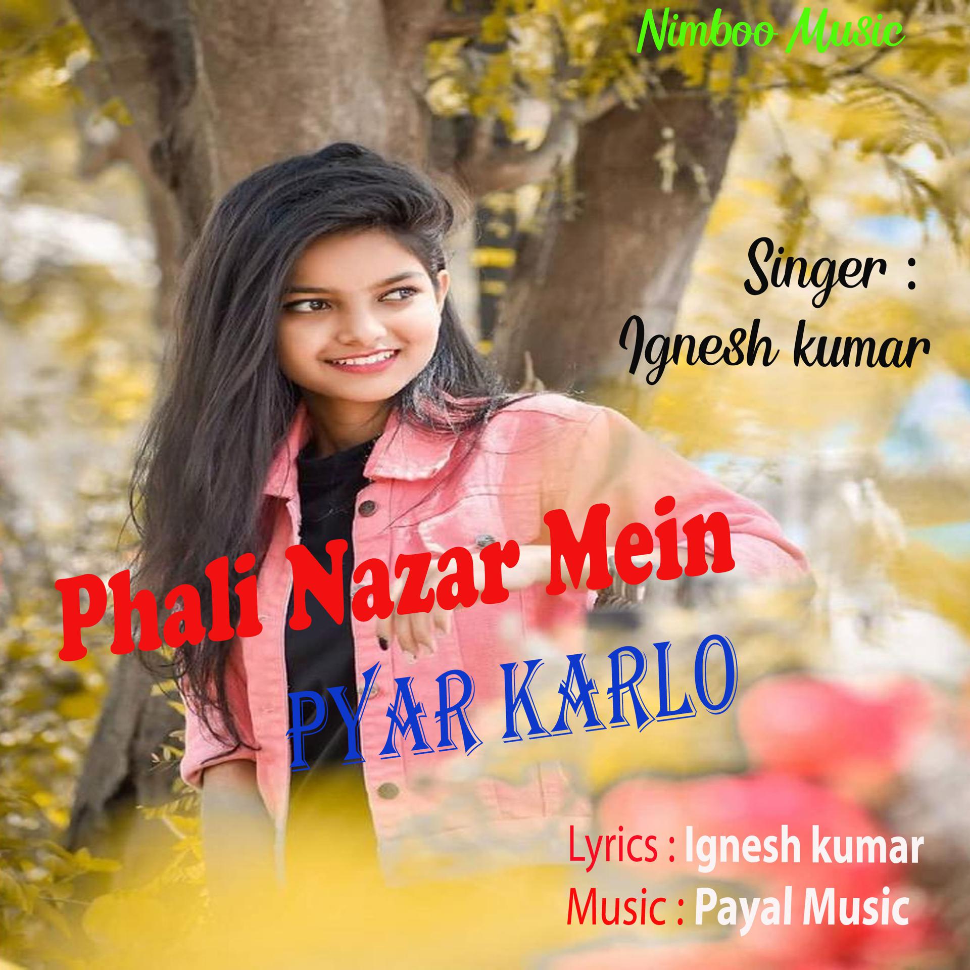 Постер альбома Phali Nazar Mein Pyar Karlo