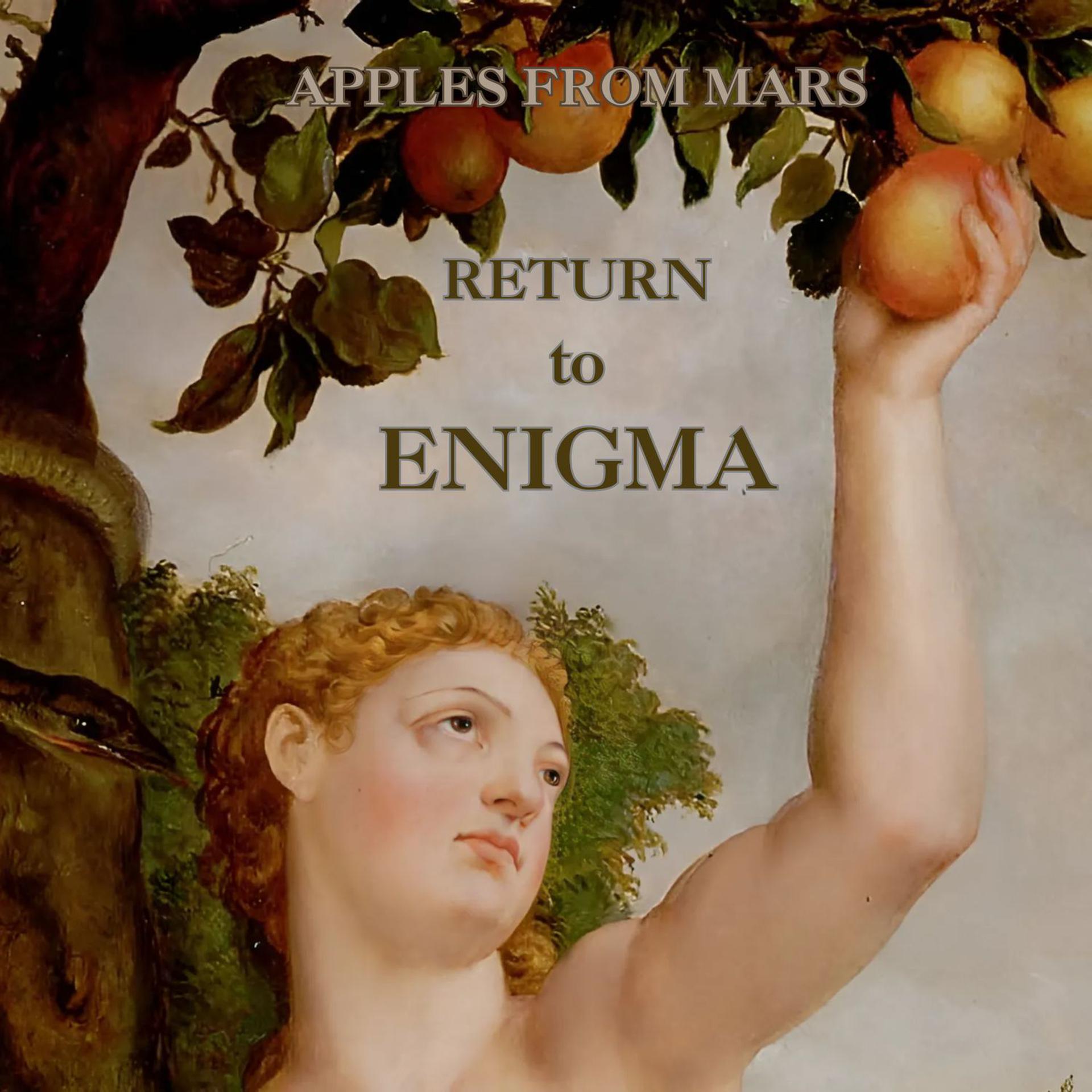 Постер альбома Return to Enigma