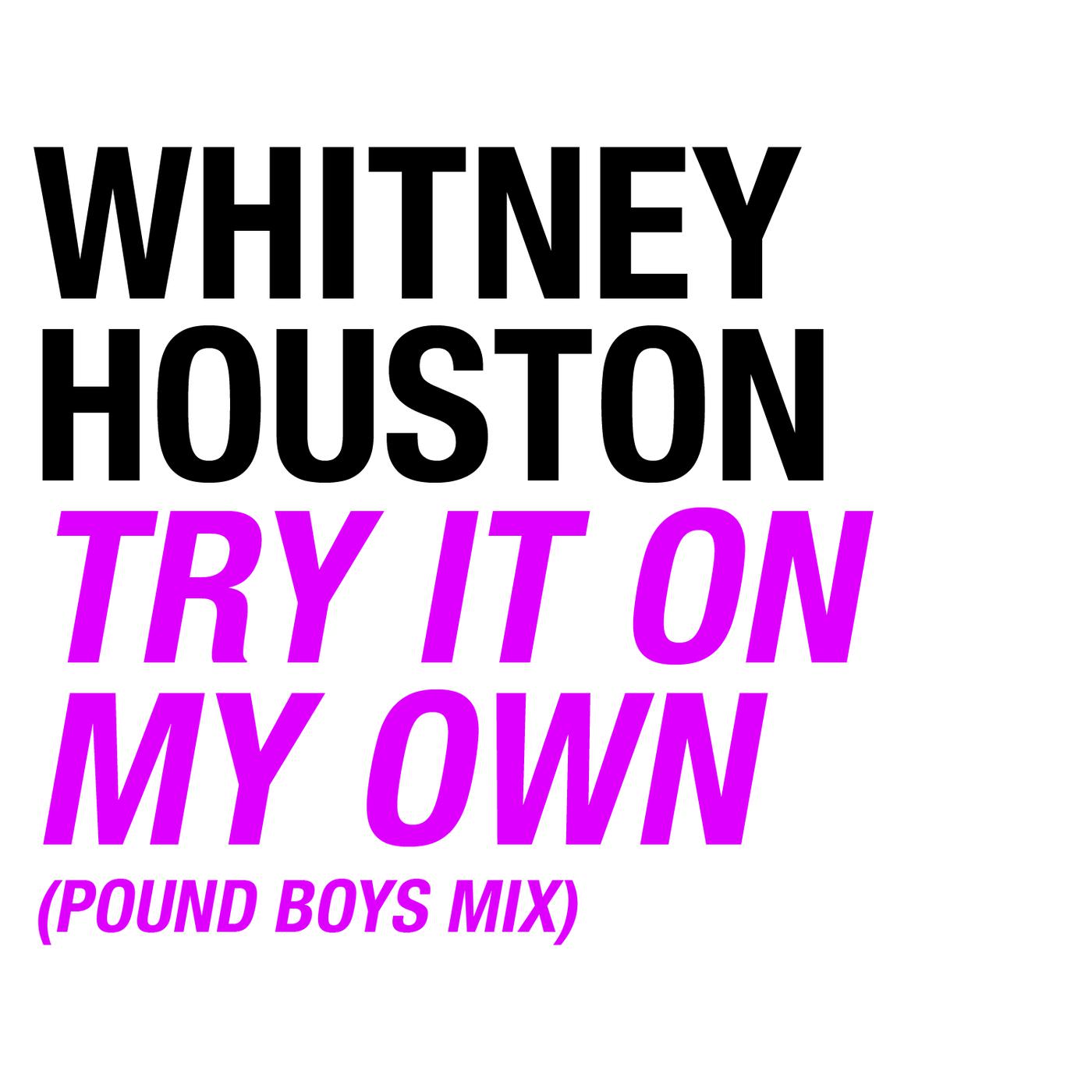 Постер альбома Try It On My Own (Pound Boys Mix)