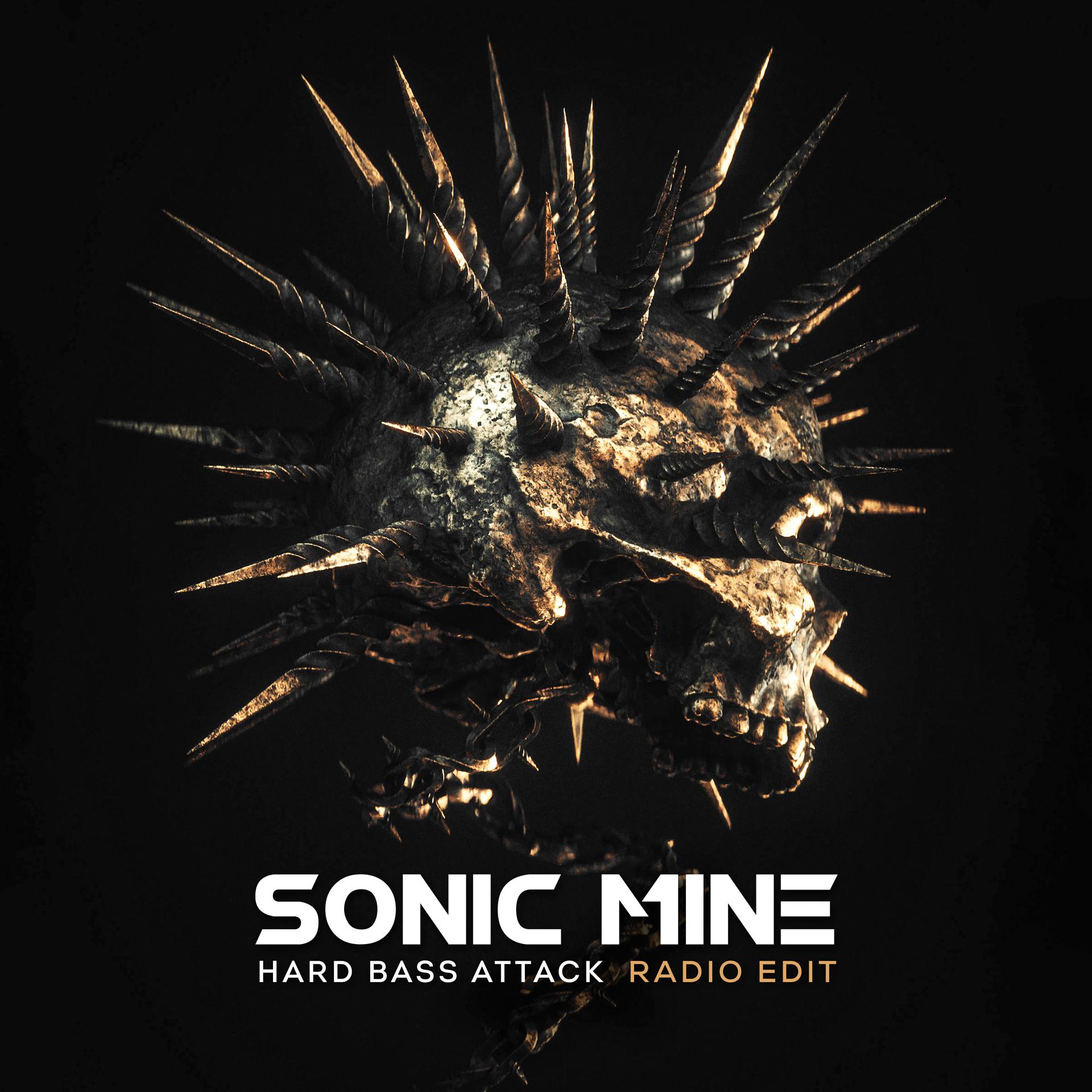 Постер альбома Hard Bass Attack (Radio Edit)