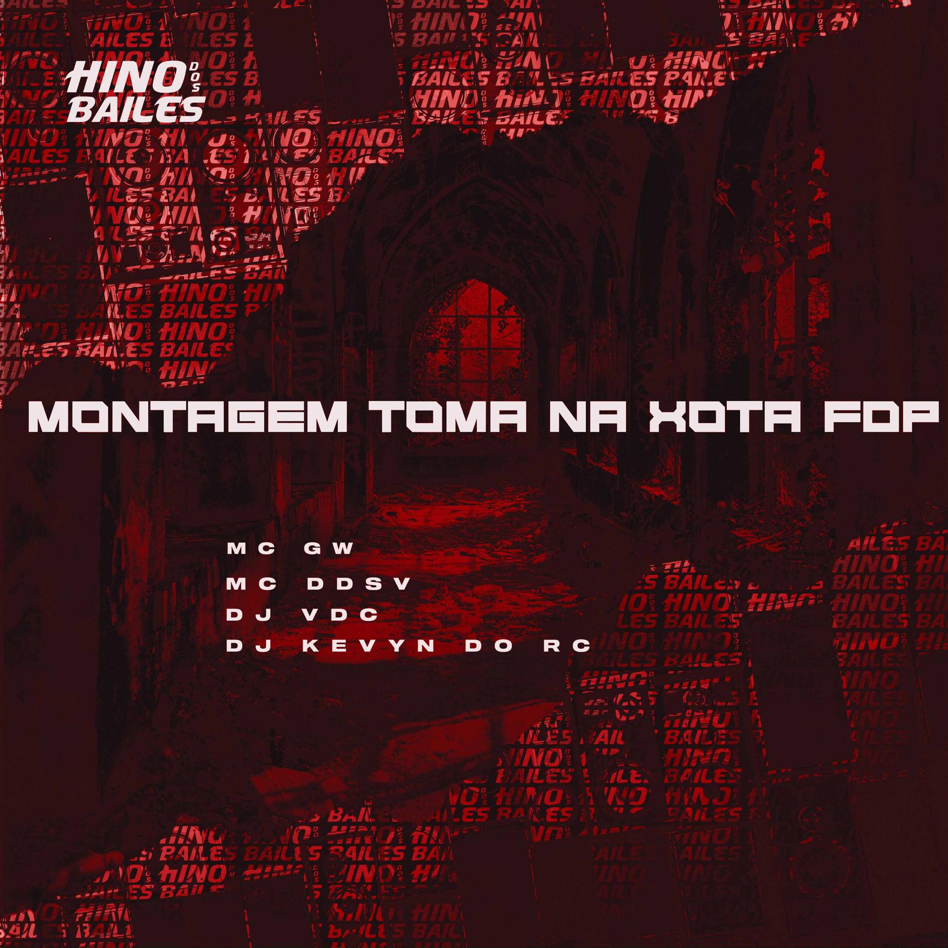 Постер альбома Montagem Toma na Xota Fdp