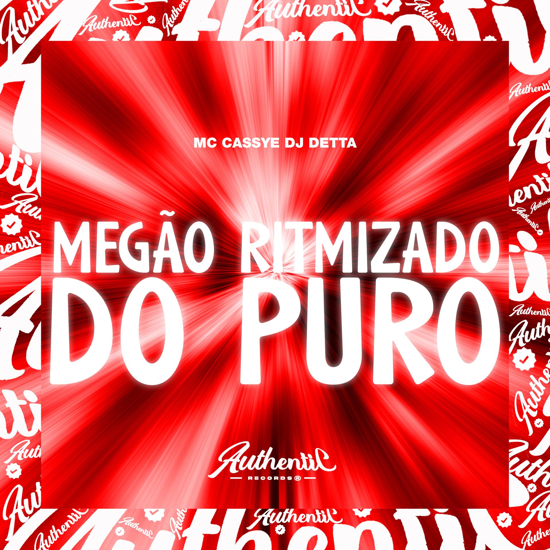 Постер альбома Megão Ritmizado do Puro