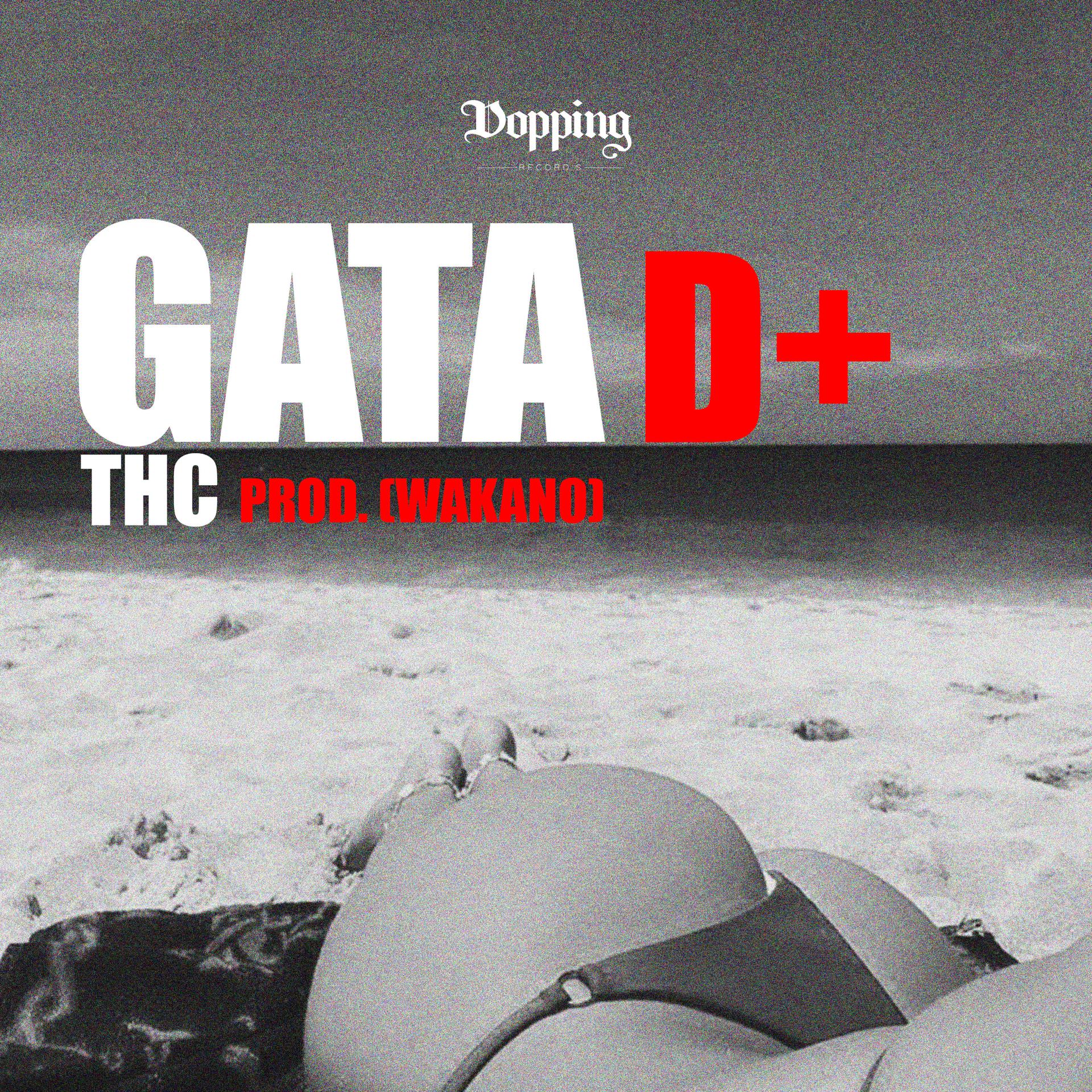 Постер альбома Gata D+