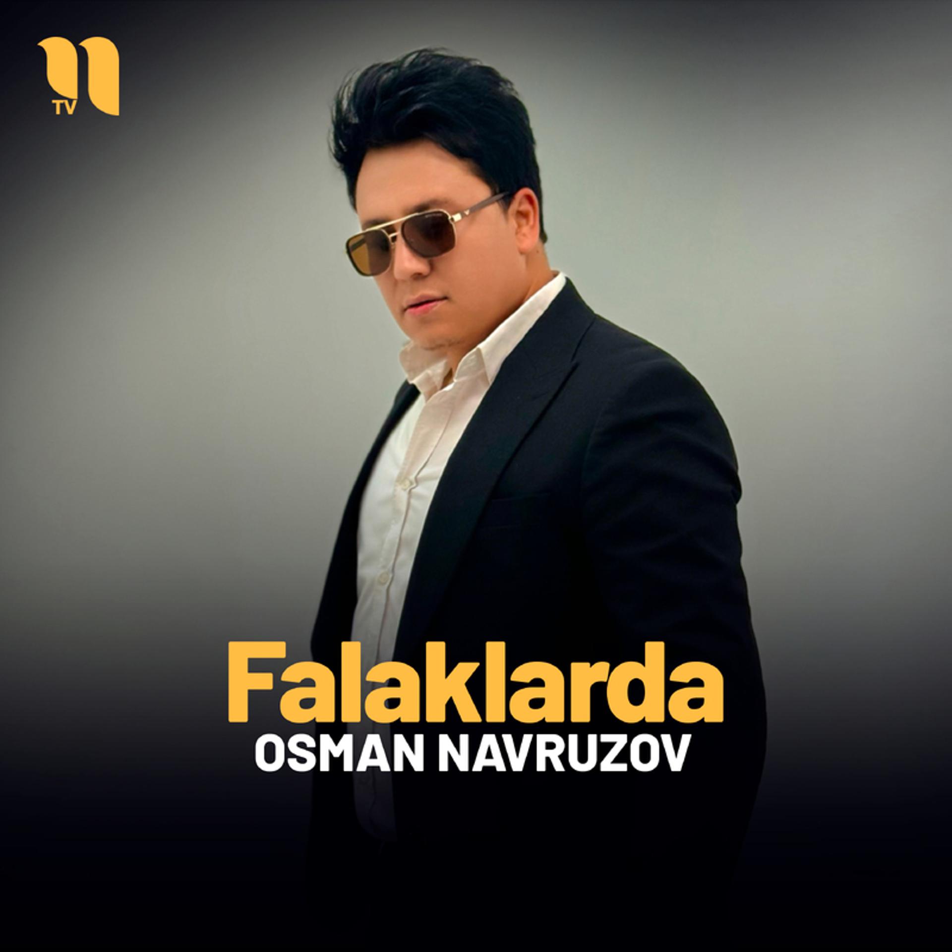 Постер альбома Falaklarda