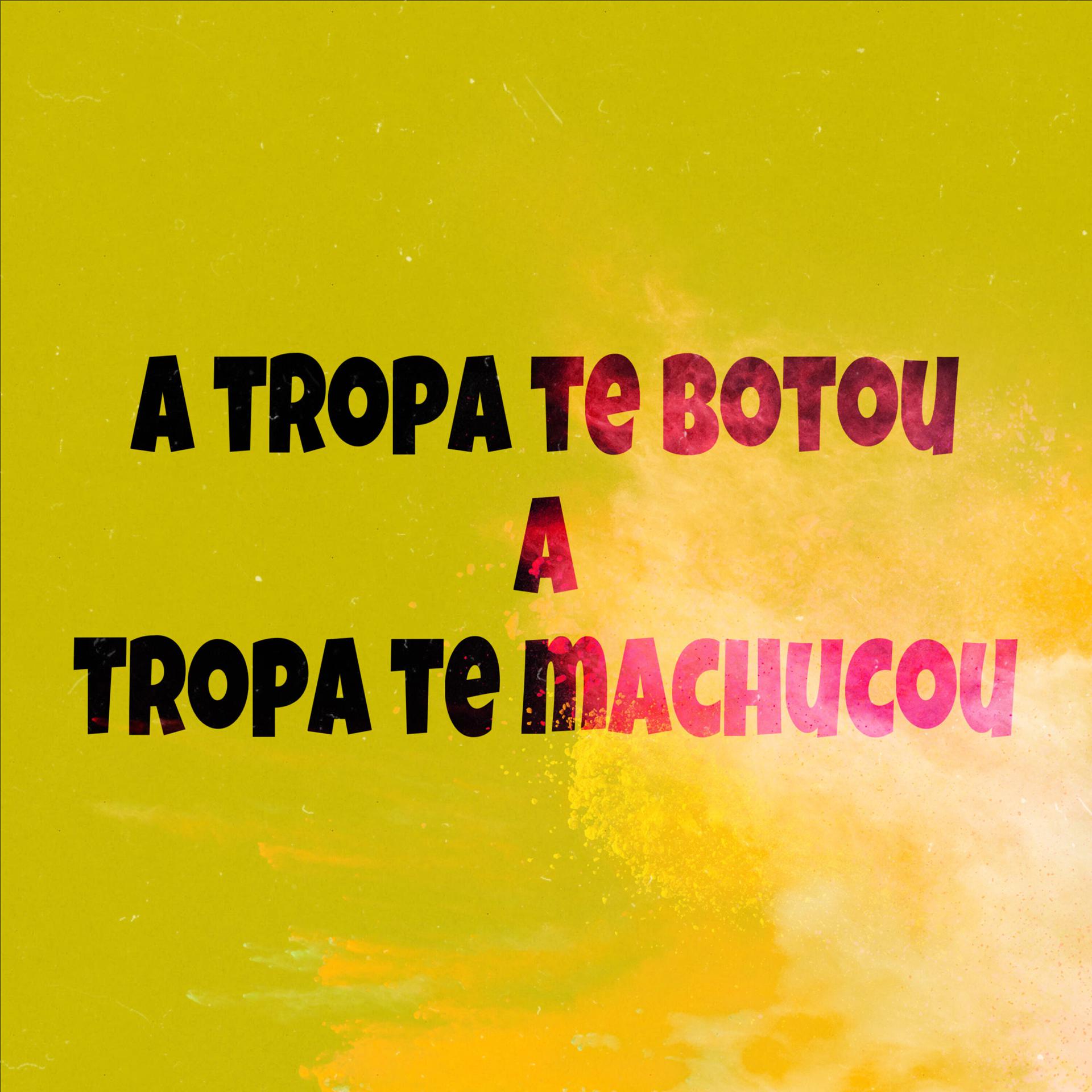 Постер альбома A Tropa Te Botou, a Tropa Te Machucou