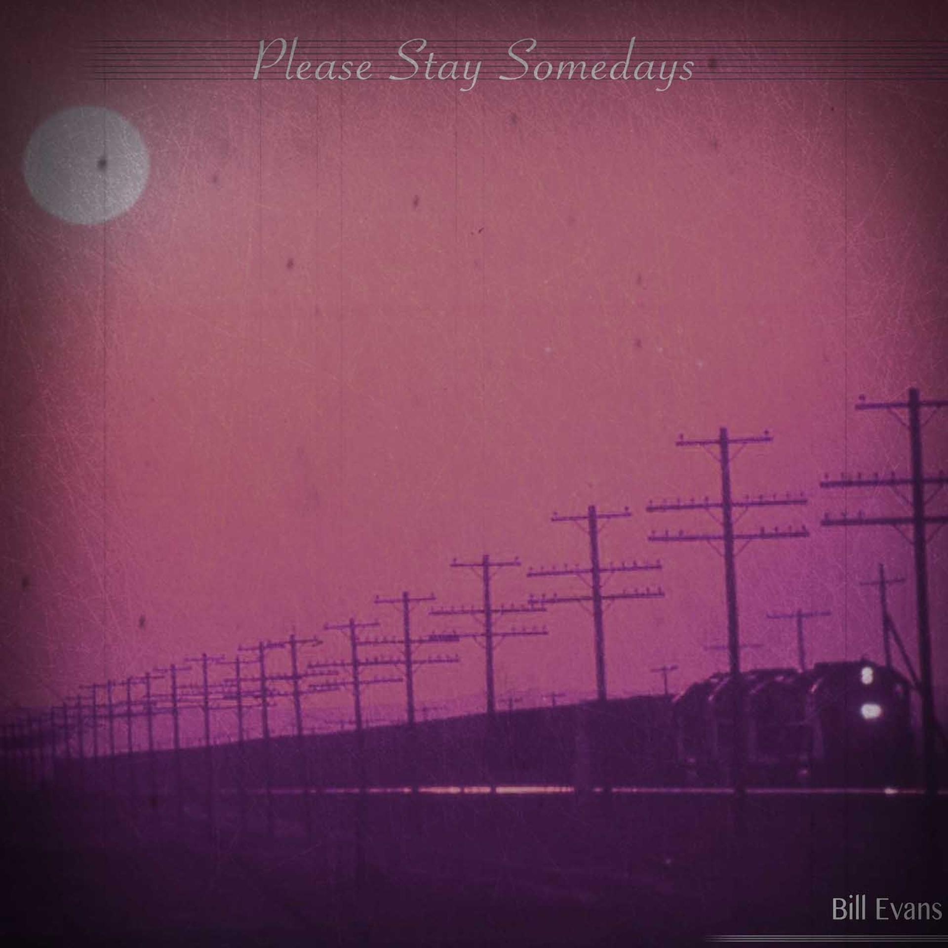 Постер альбома Please Stay Somedays