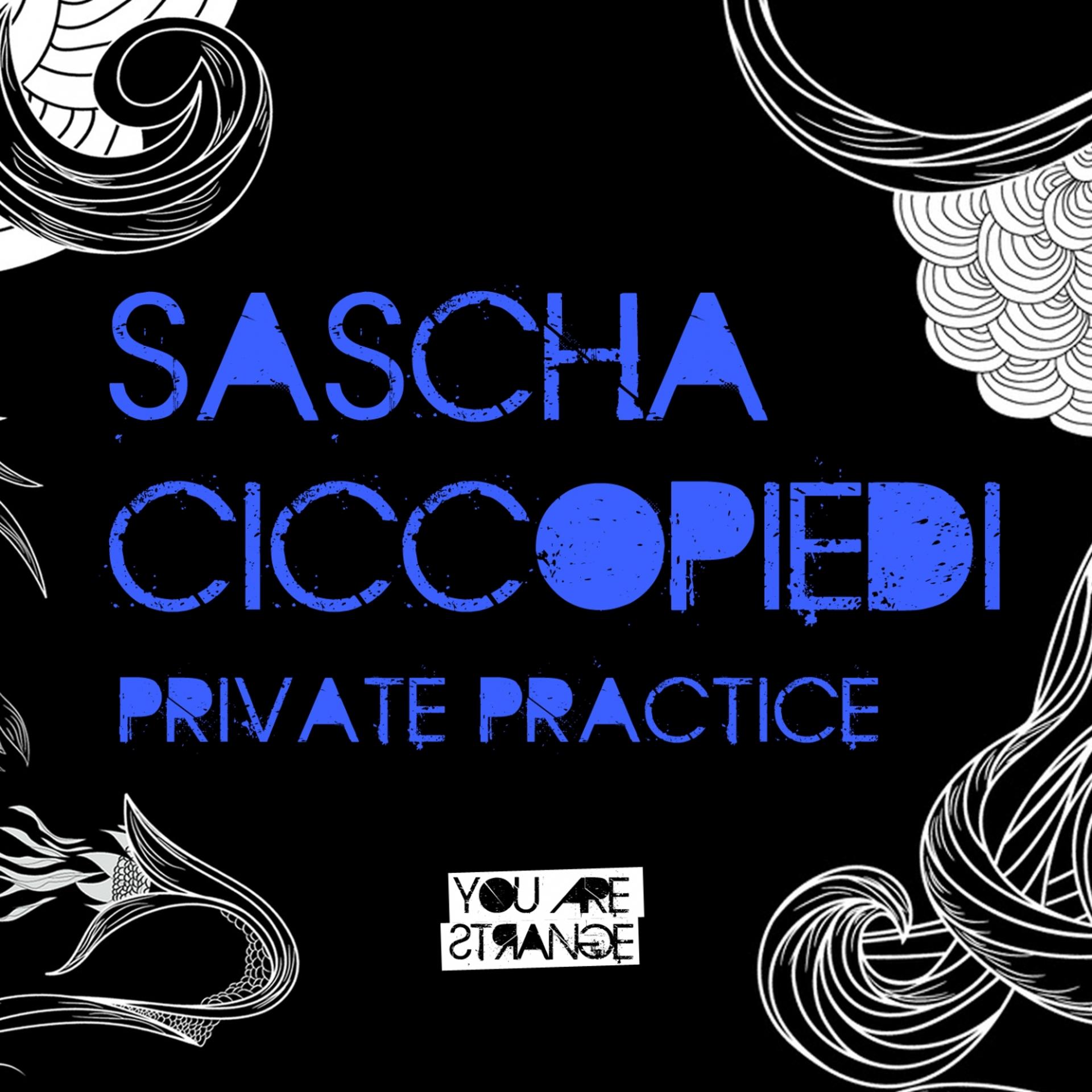 Постер альбома Private Practice