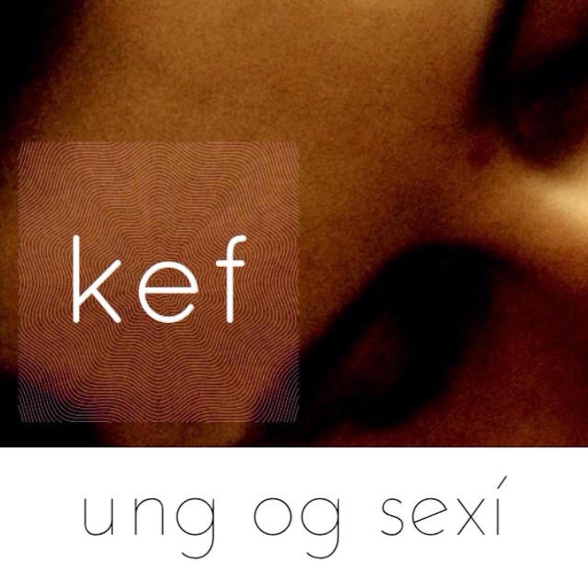 Постер альбома Ung Og Sexí