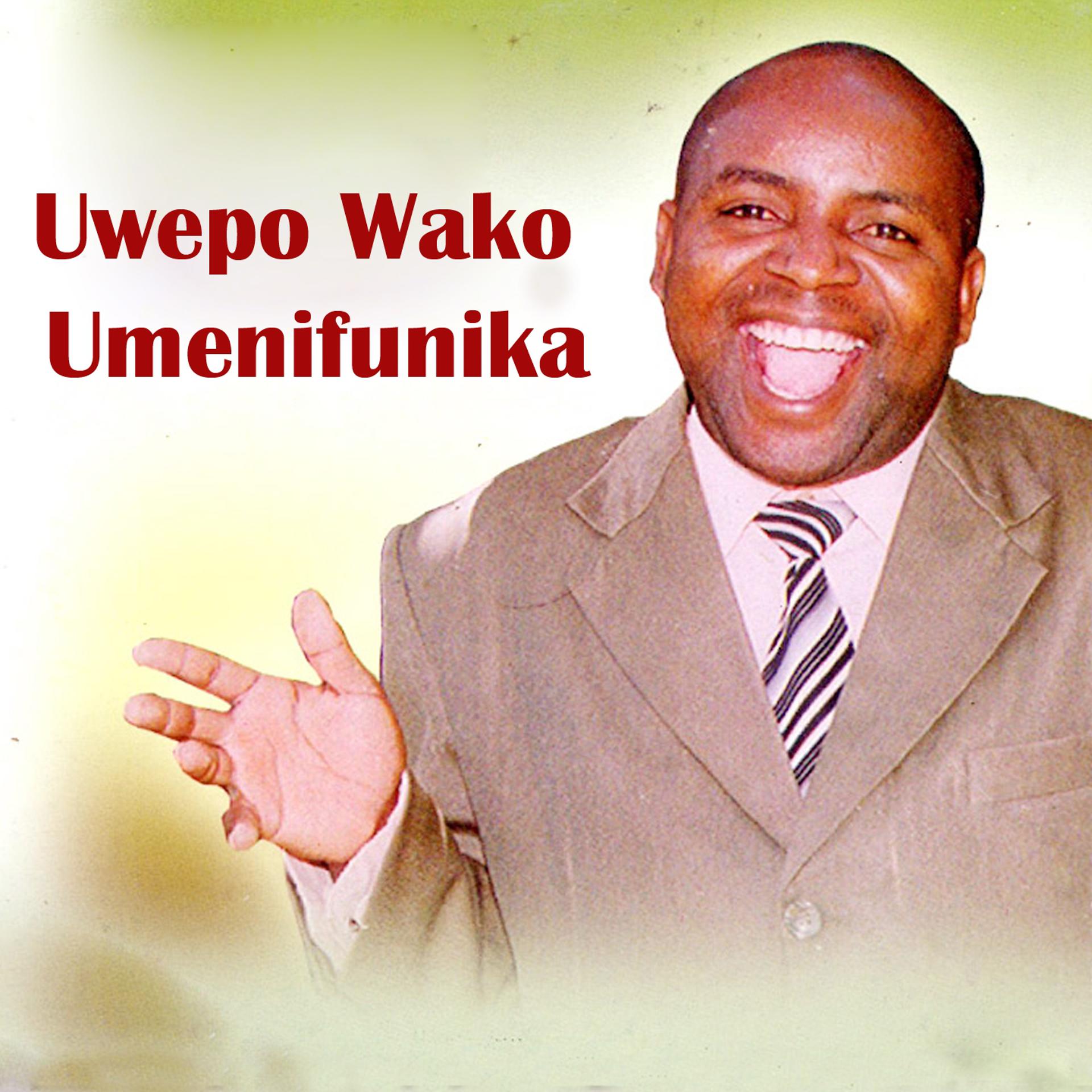 Постер альбома Uwepo Wako Umenifunika