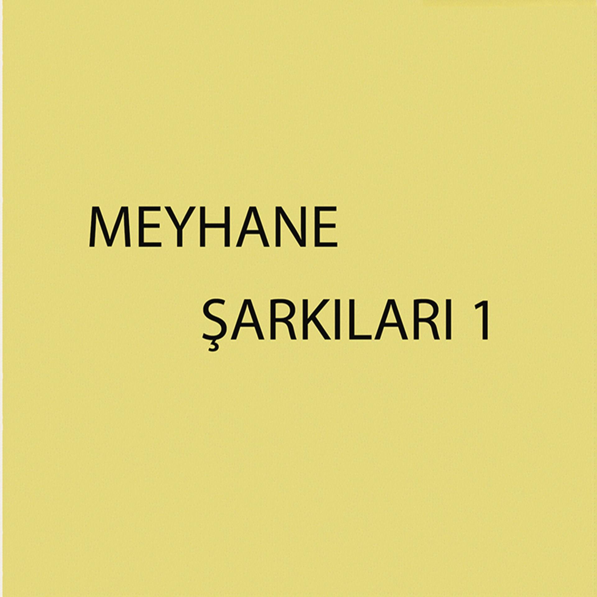 Постер альбома Meyhane Şarkıları, Vol. 1