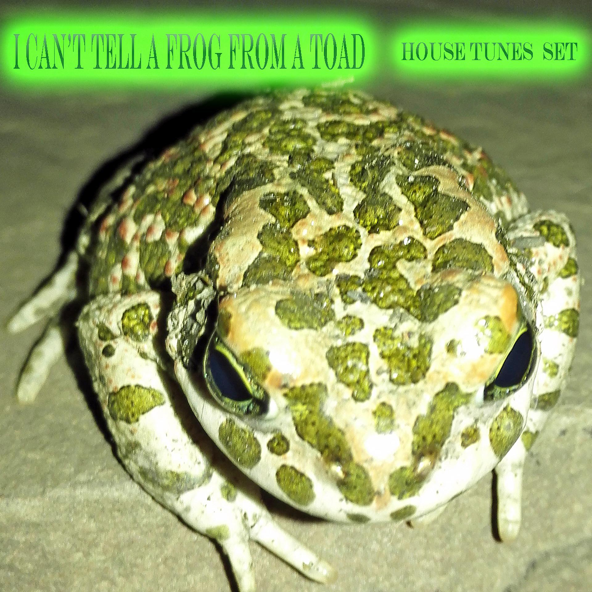 Постер альбома I Can't Tell a Frog from a Toad