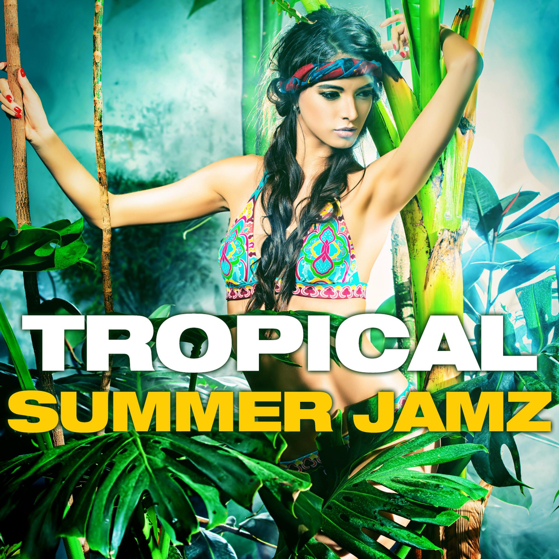 Постер альбома Tropical Summer Jamz