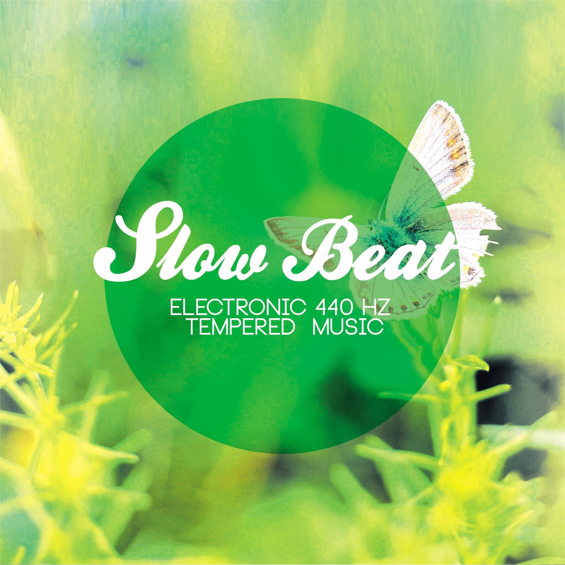 Постер альбома Slow Beat (Electronic 440 Hz Tempered Music)