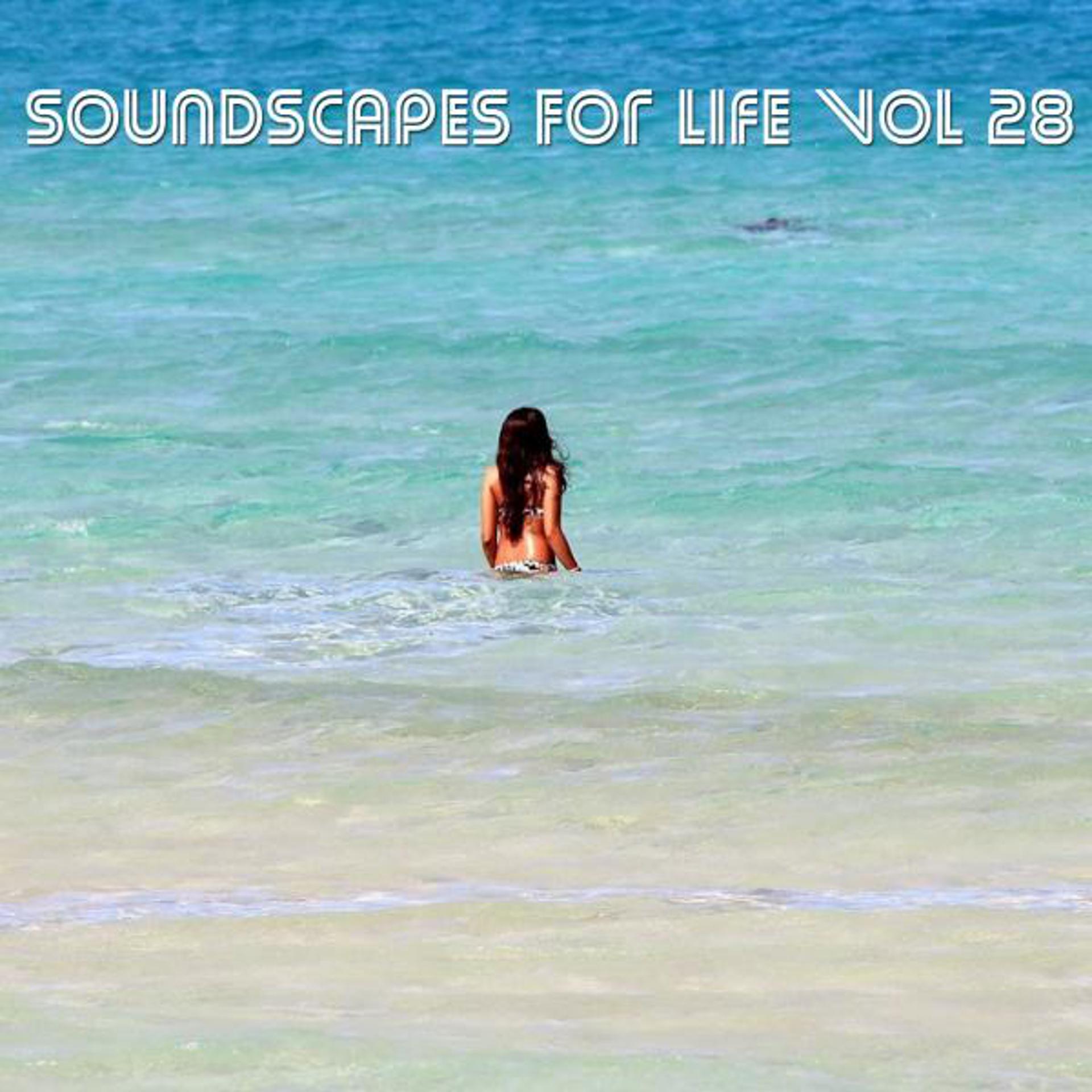 Постер альбома Soundscapes For Life, Vol. 28