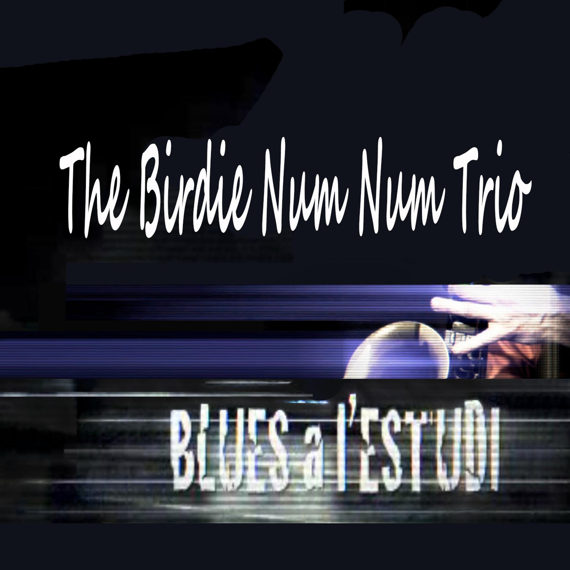 Постер альбома Blues a l'Estudi: The Birdie Num Num Trio