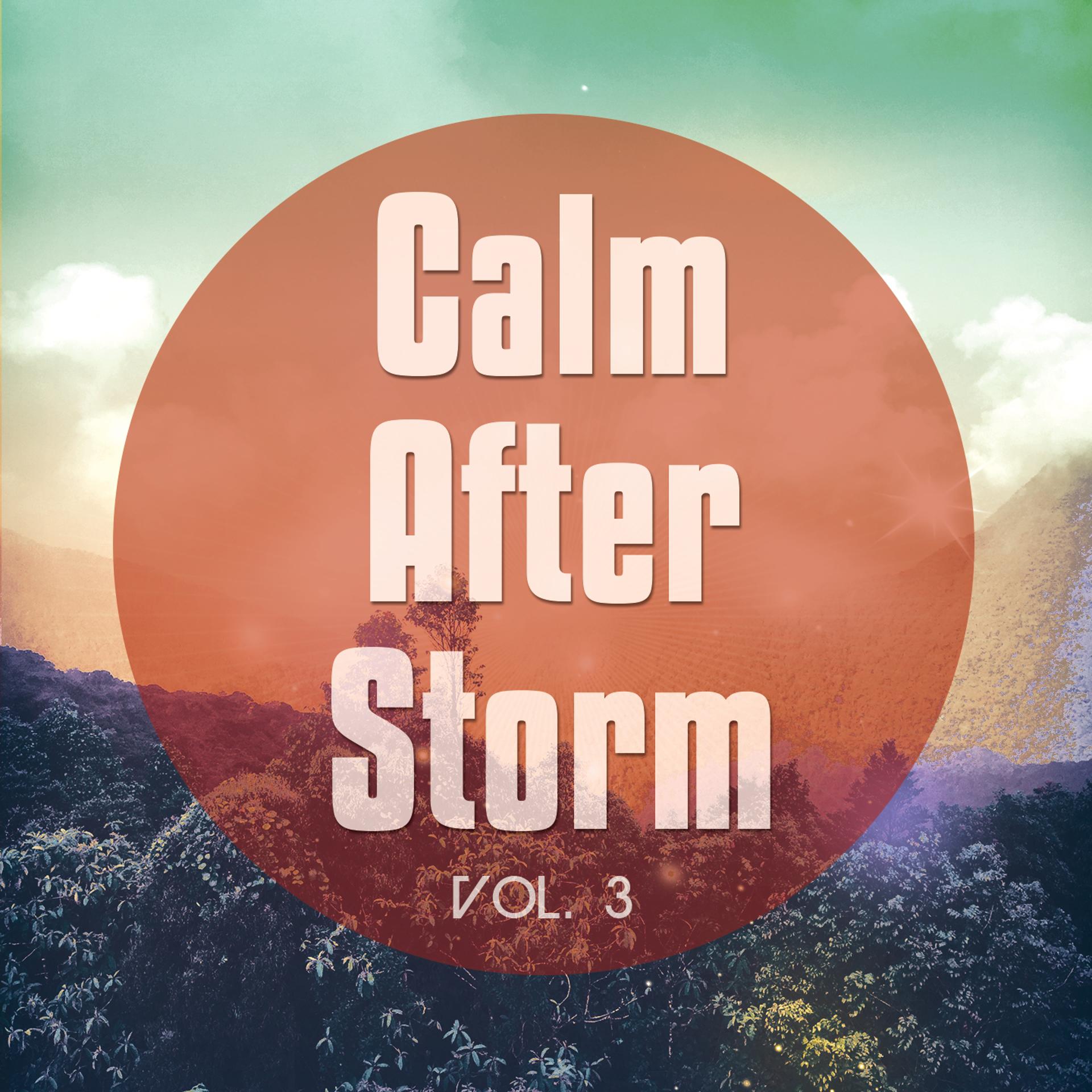 Постер альбома Calm After Storm, Vol. 3