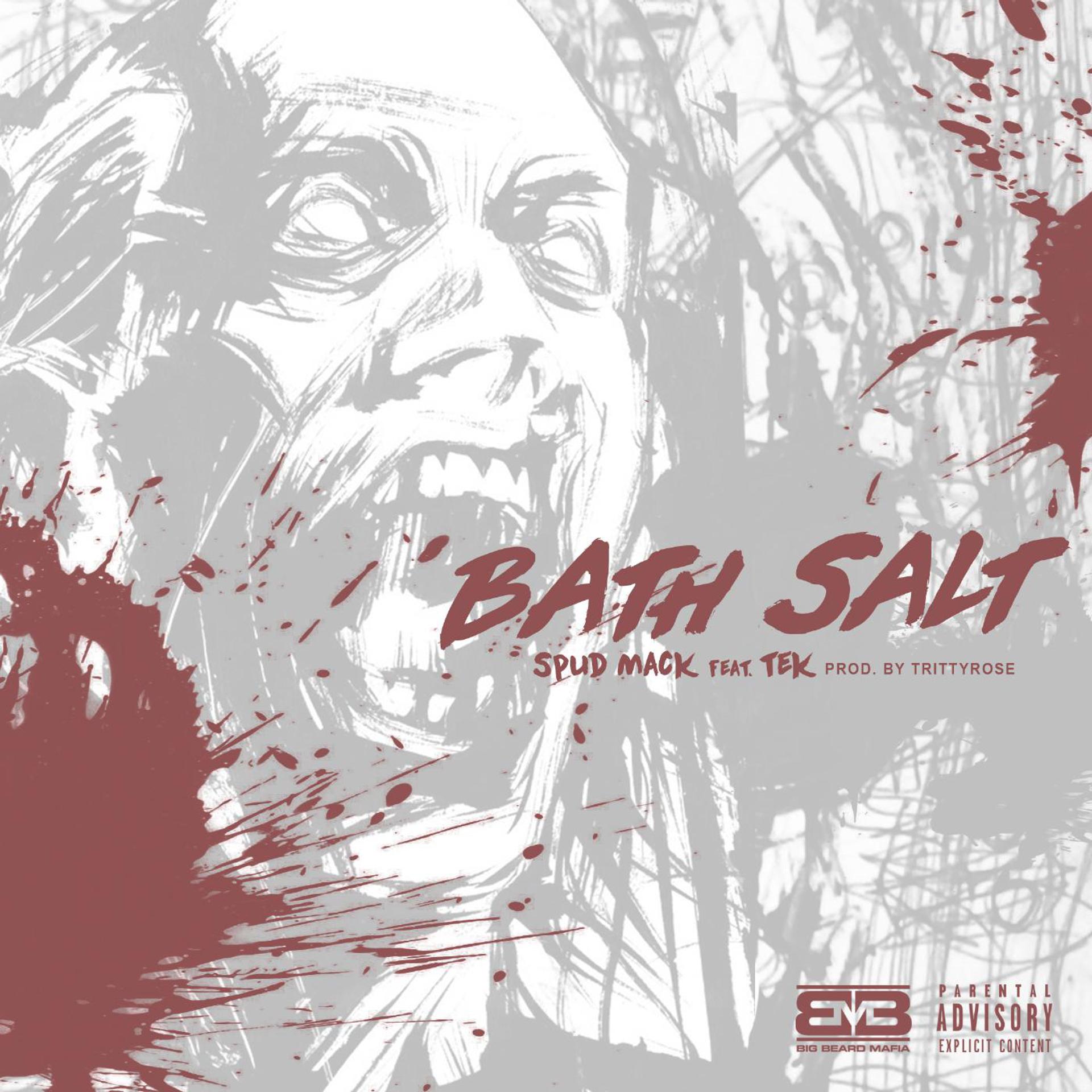 Постер альбома Bath Salt (feat. Tek)