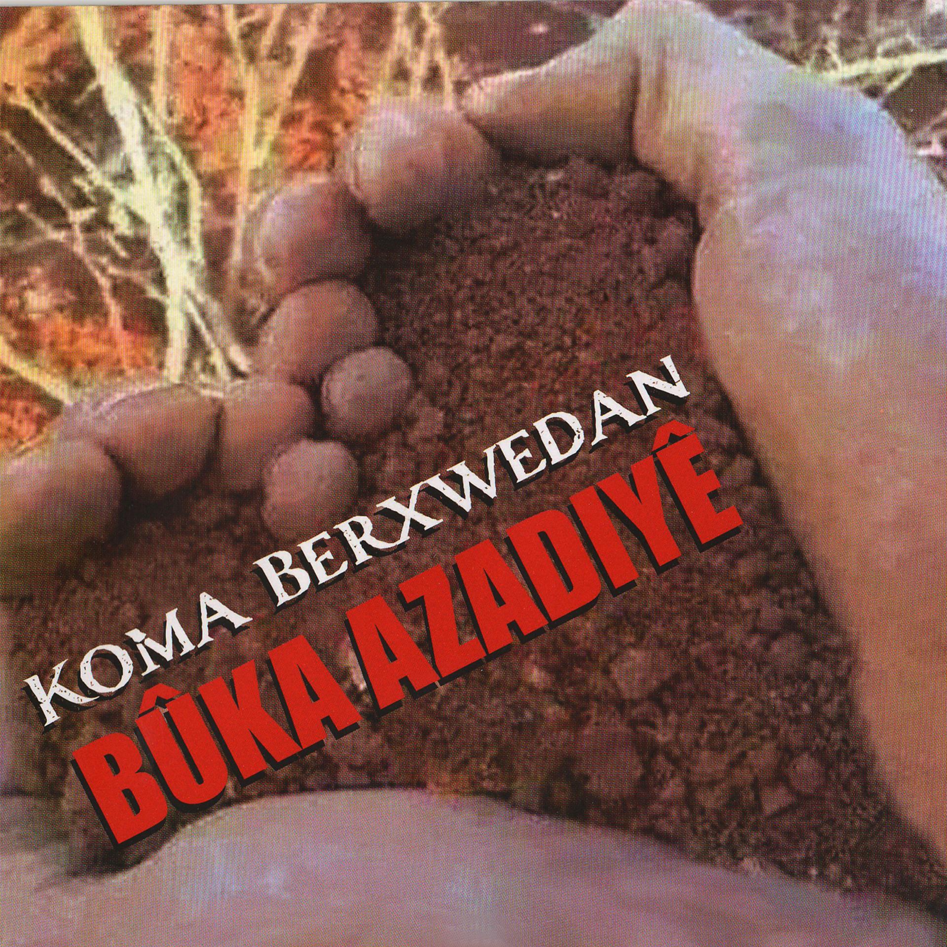 Постер альбома Bûka Azadiyê