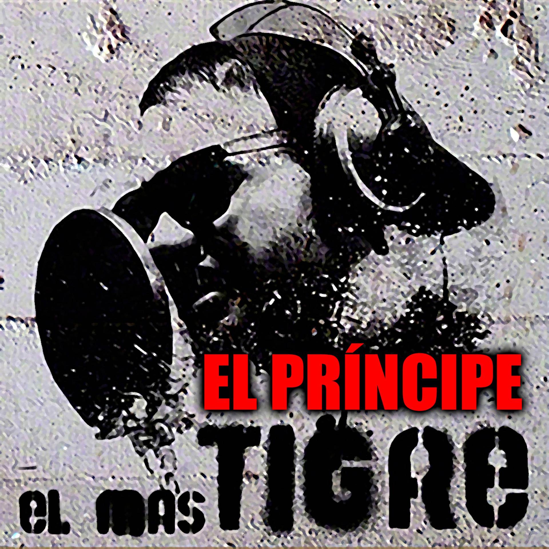 Постер альбома El más tigre