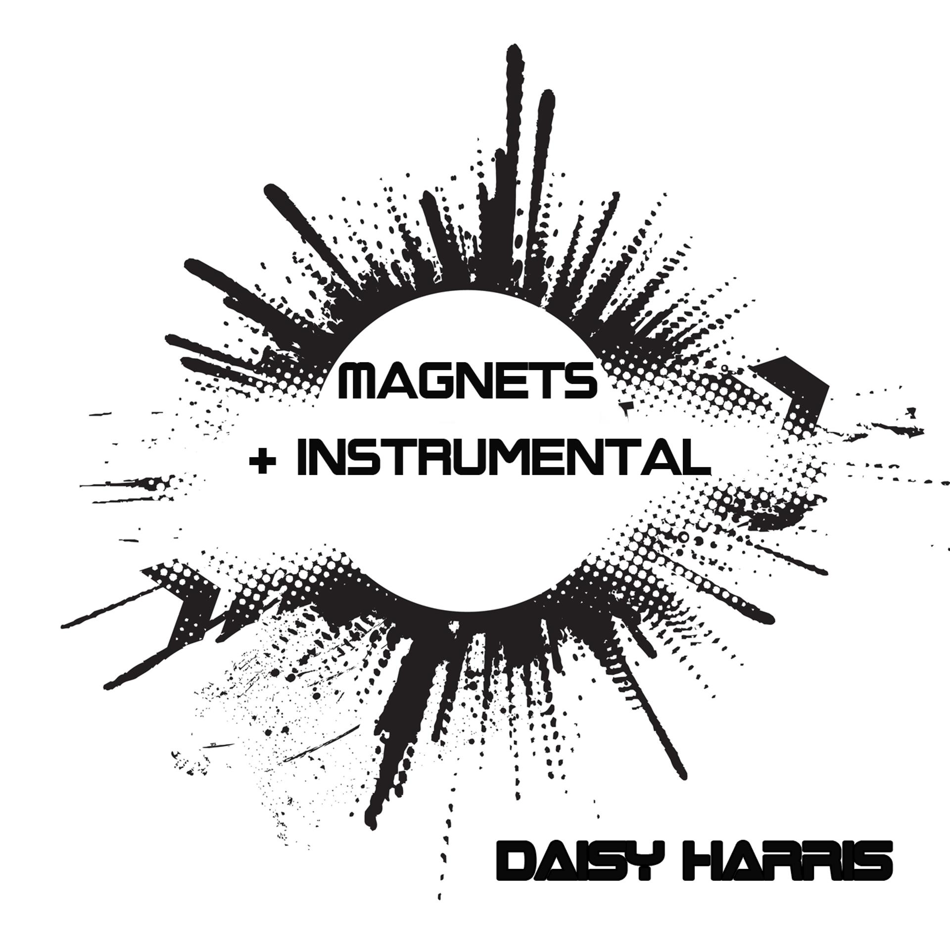 Постер альбома Magnets + Instrumental