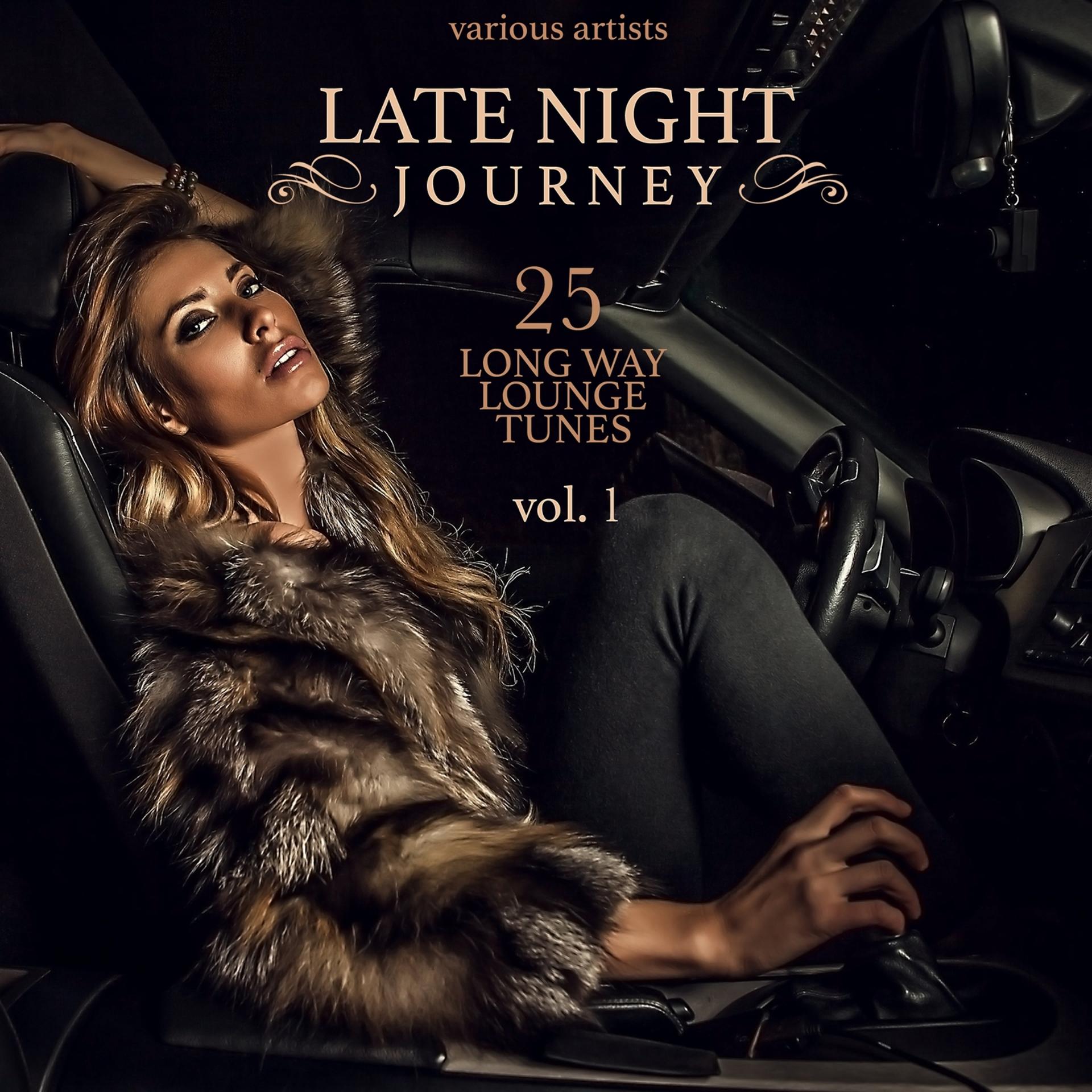 Постер альбома Late Night Journey, Vol. 1 (25 Long Way Lounge Tunes)