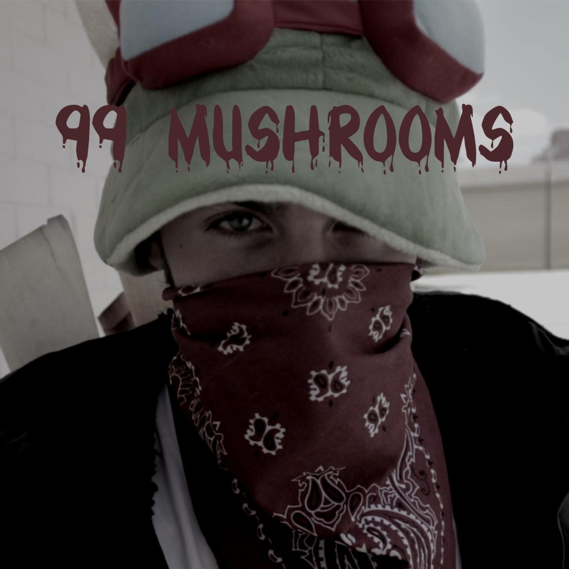 Постер альбома 99 Mushrooms (feat. Jesse Chisholm)