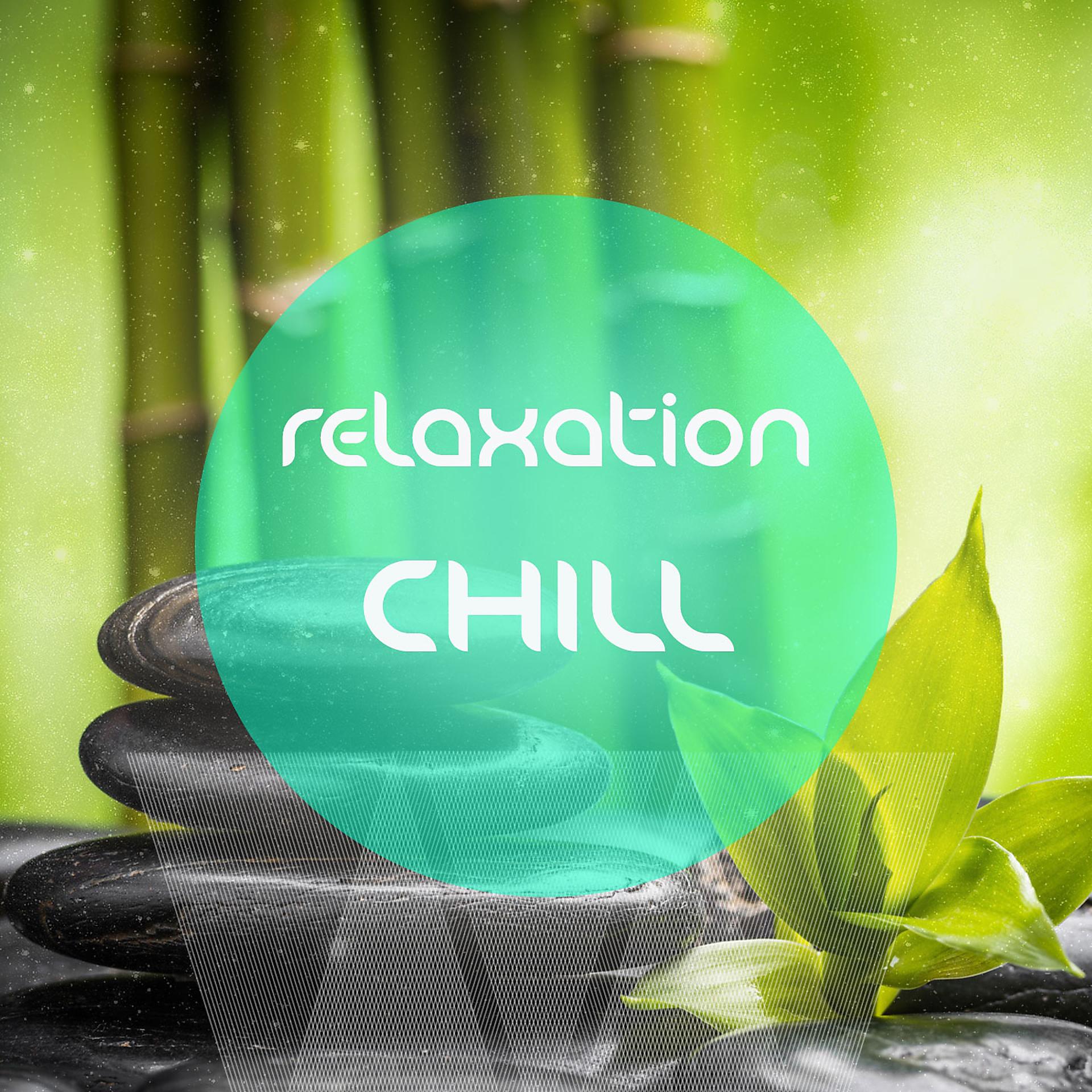 Постер альбома Relaxation Chill  (Anti Stress Relaxing & Meditation Music )
