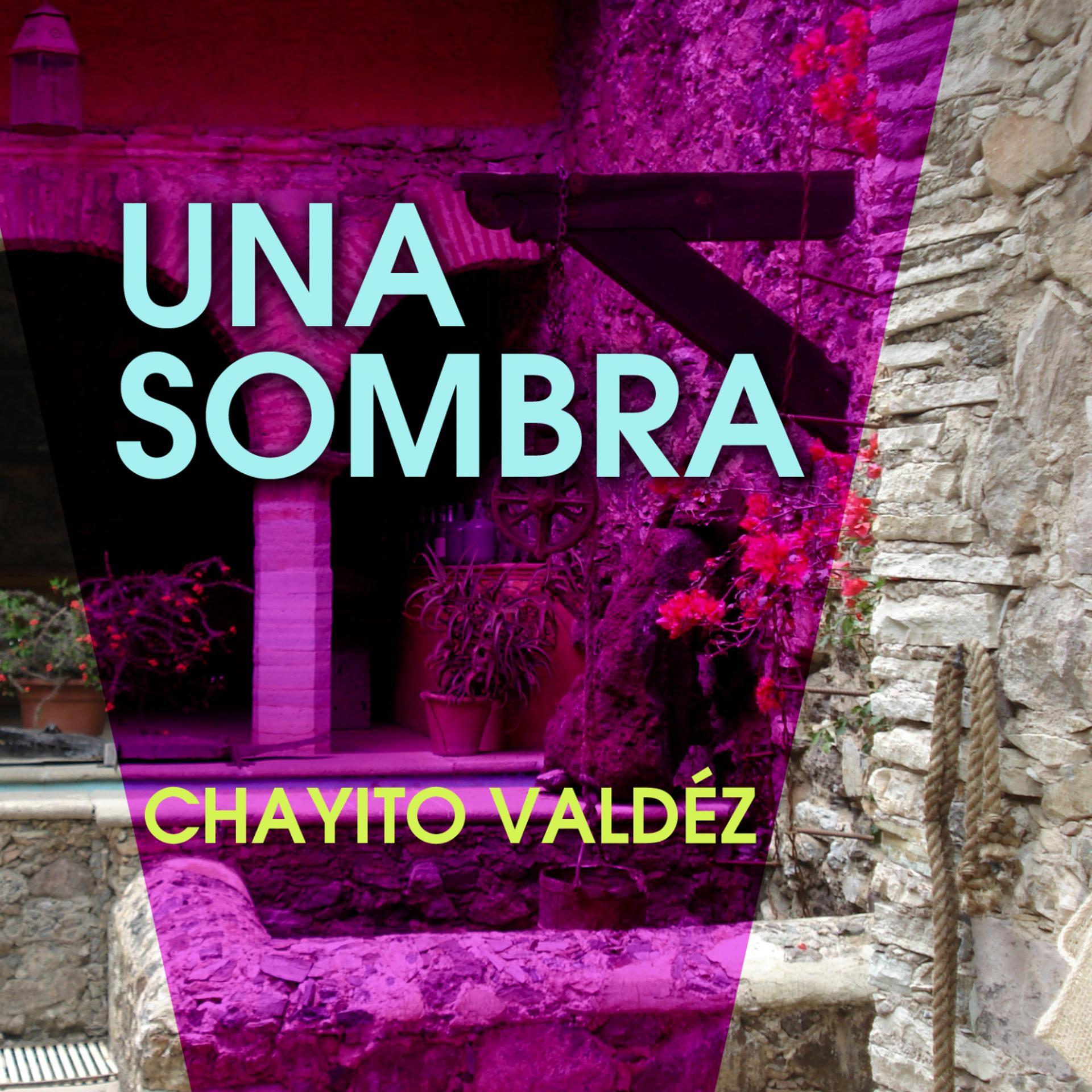Постер альбома Una Sombra