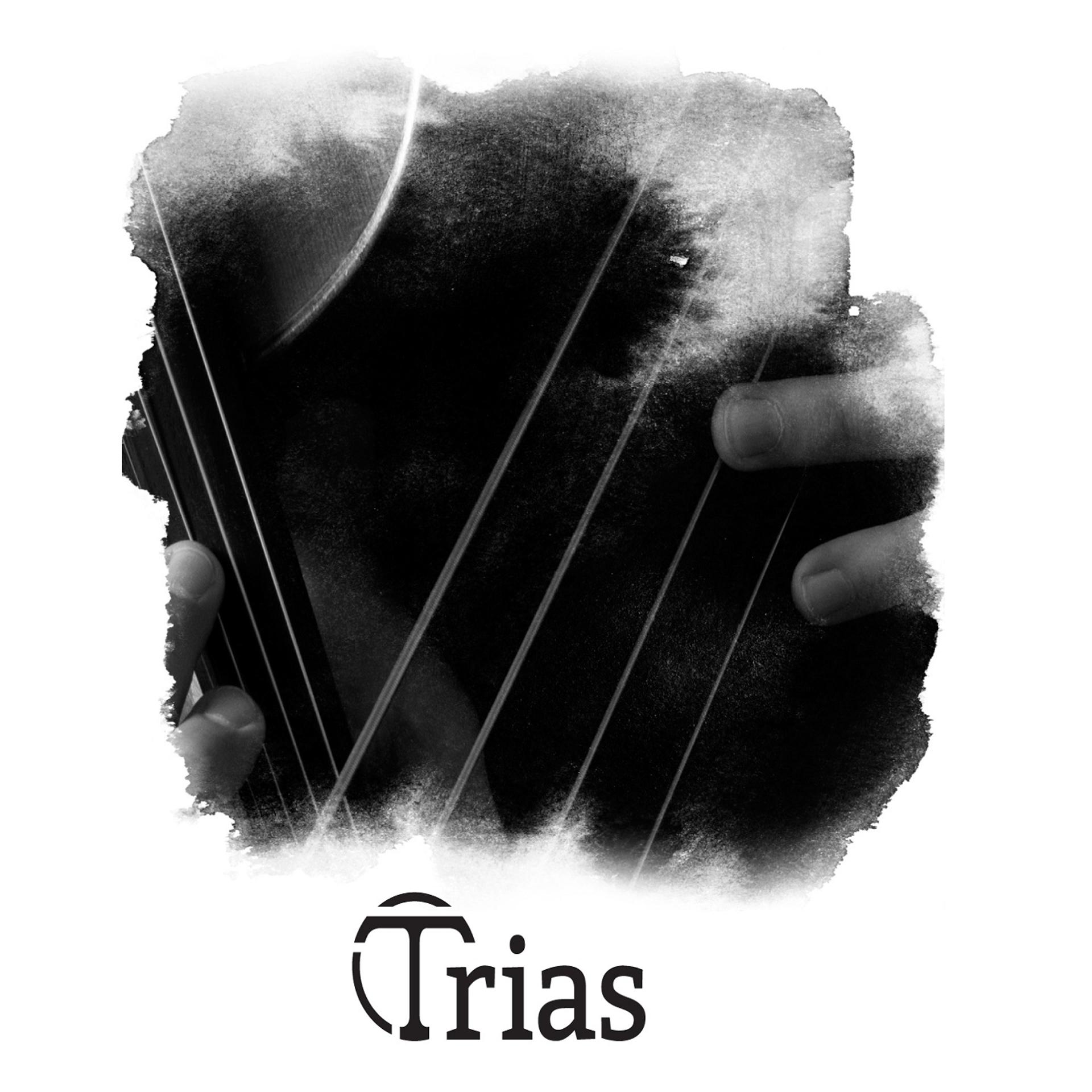 Постер альбома Trias