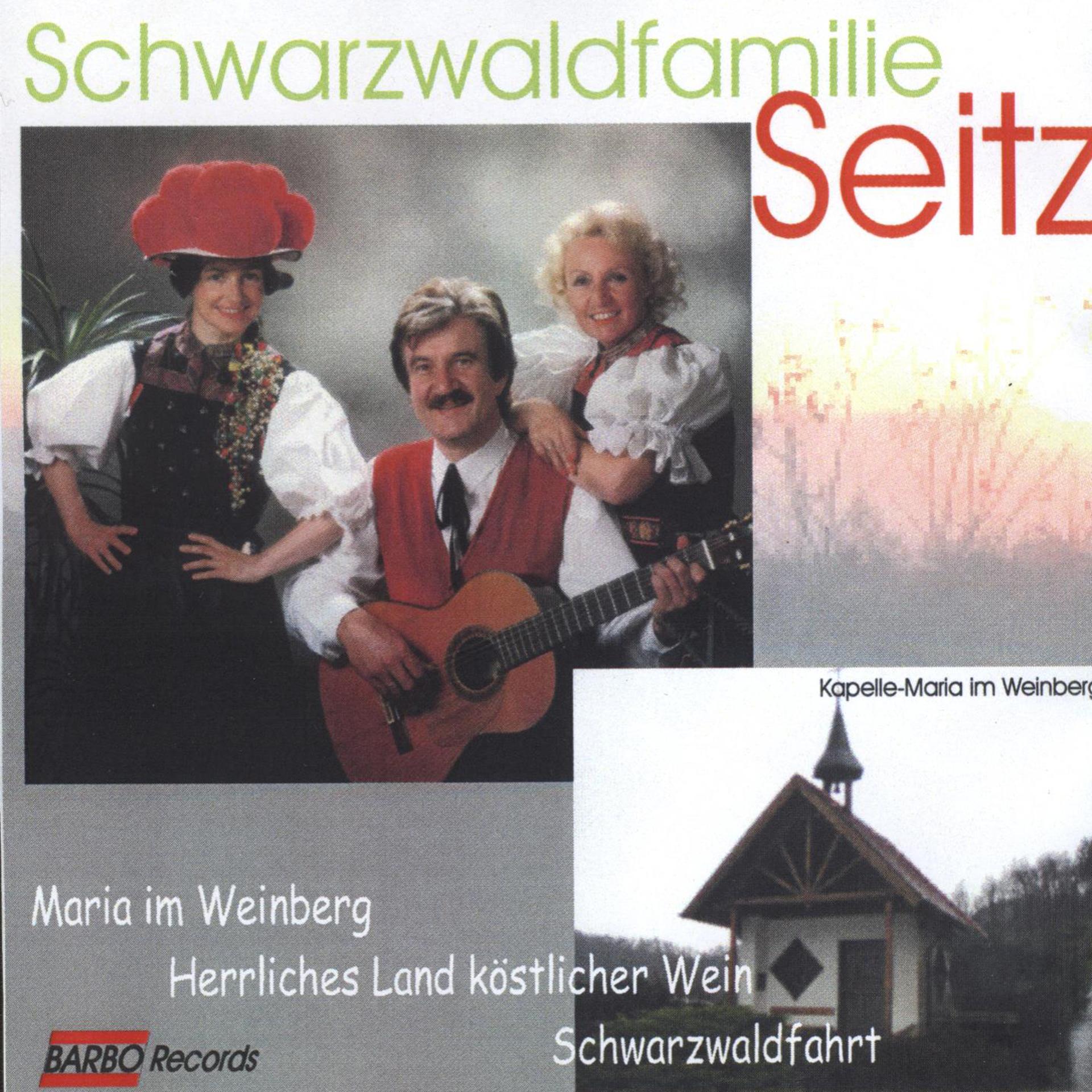 Постер альбома Maria im Weinberg