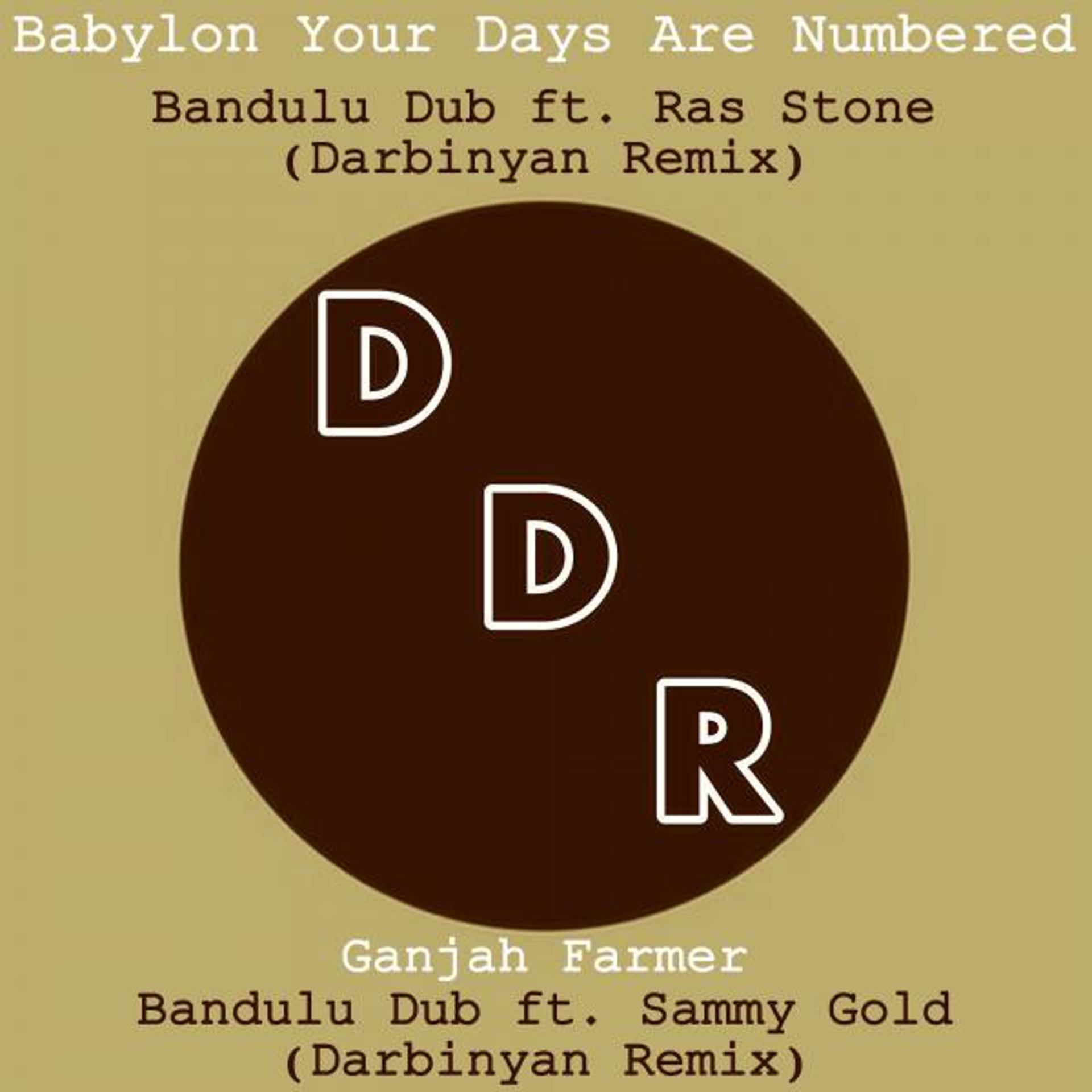 Постер альбома Darbinyan Remixes