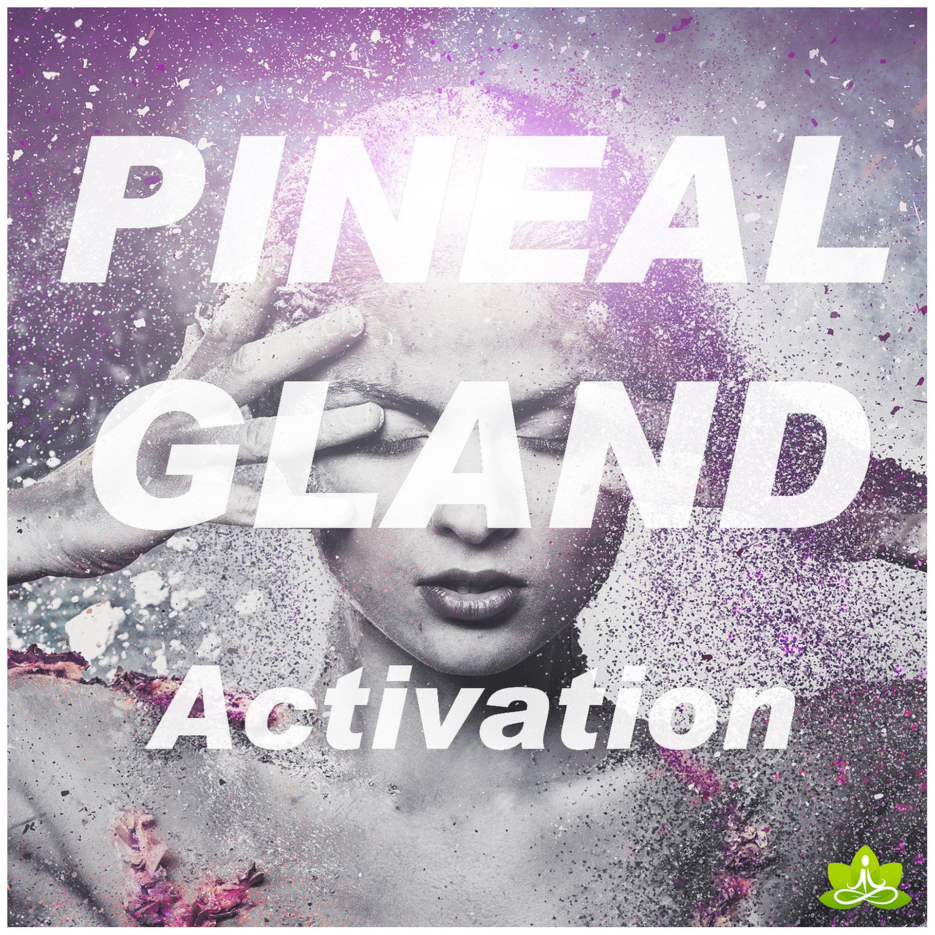 Постер альбома Pineal Gland Activation