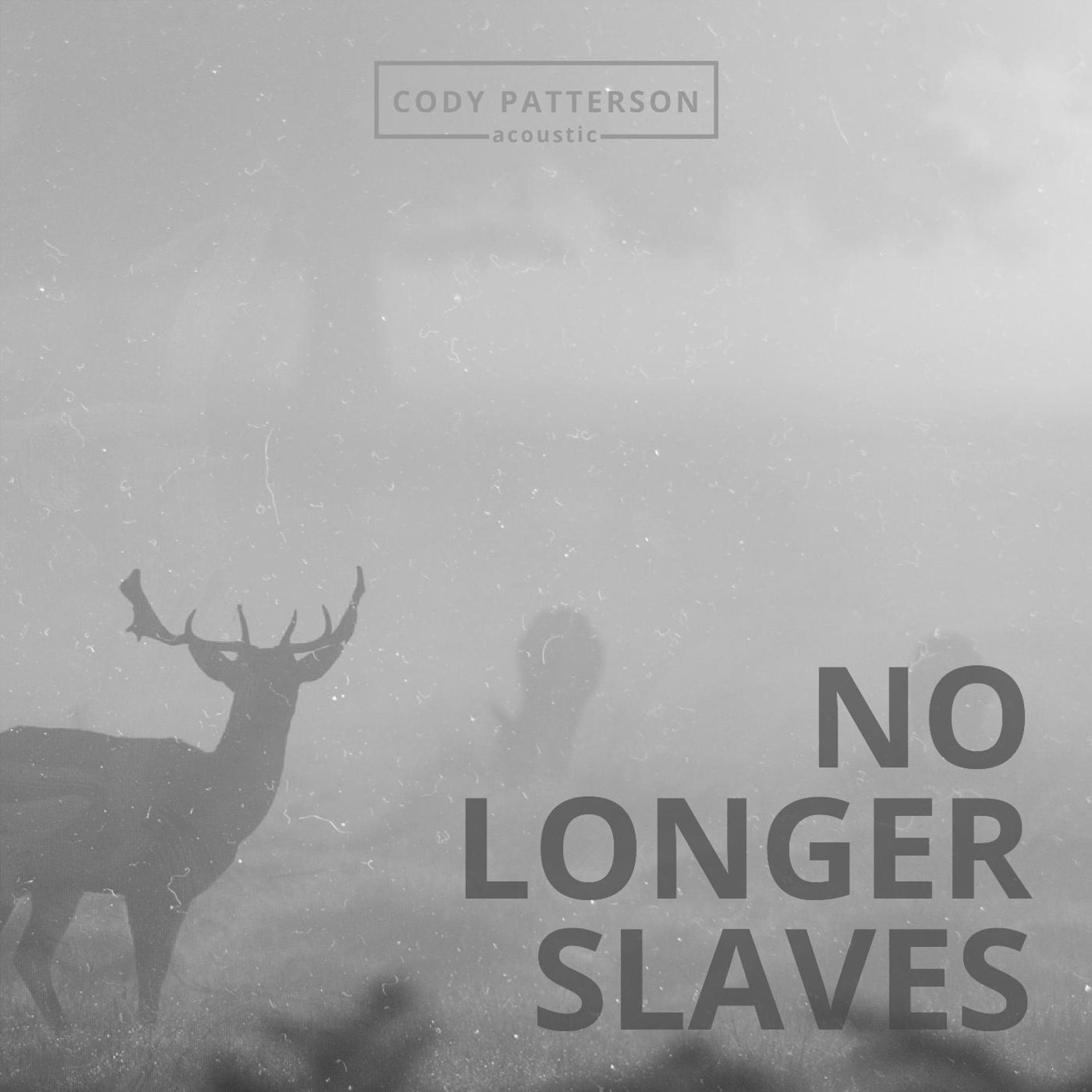 Постер альбома No Longer Slaves (Acoustic)