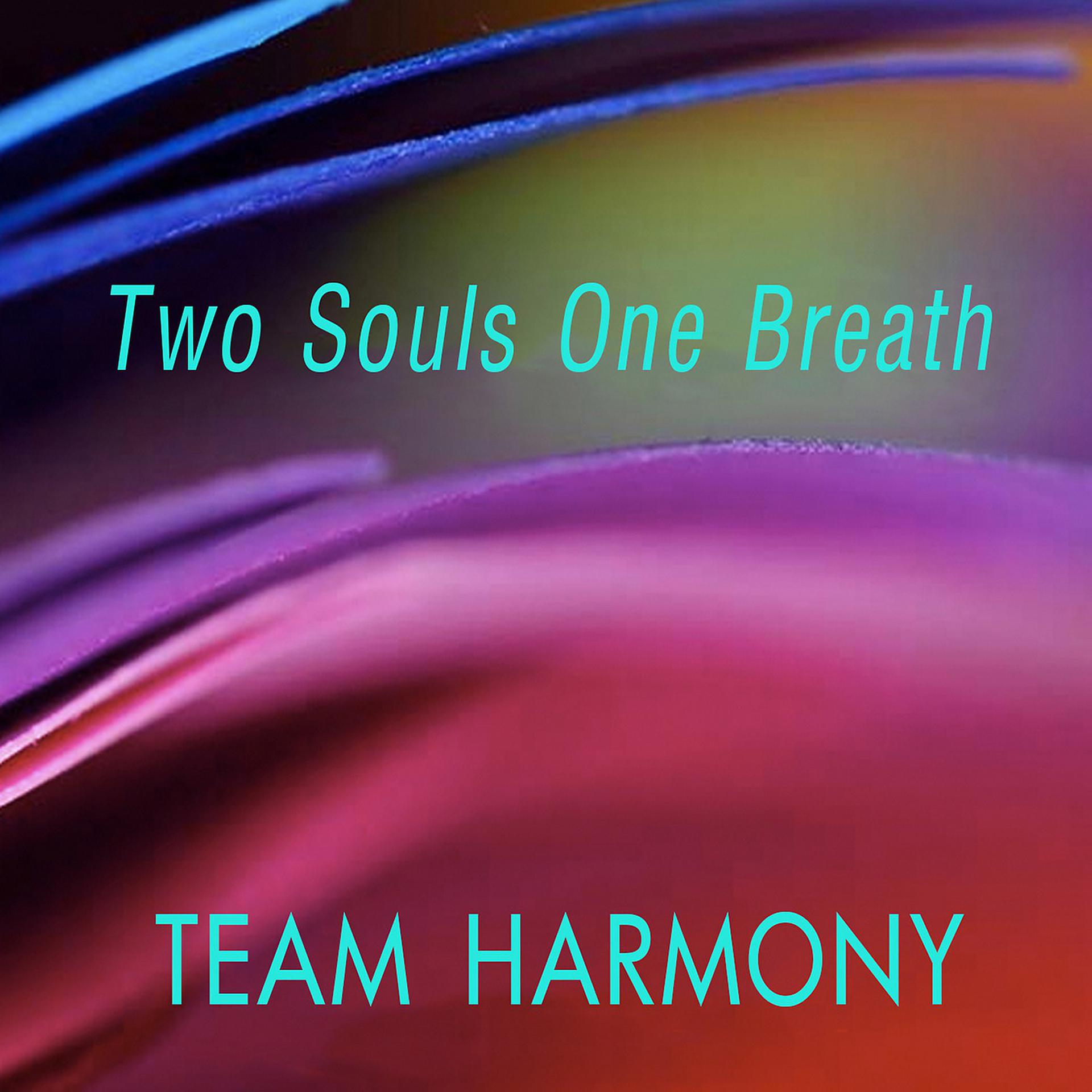 Постер альбома Two Souls One Breath