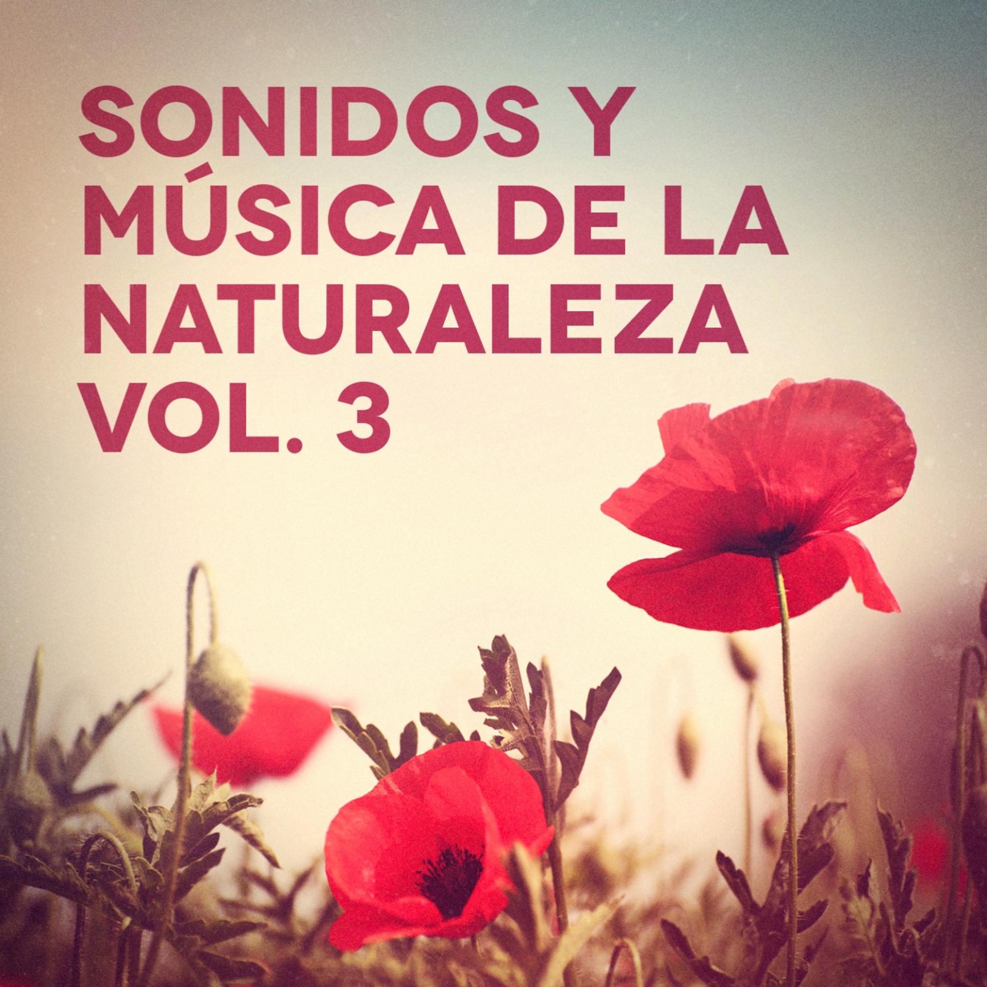 Постер альбома Sonidos y Música de la Naturaleza, Vol. 3