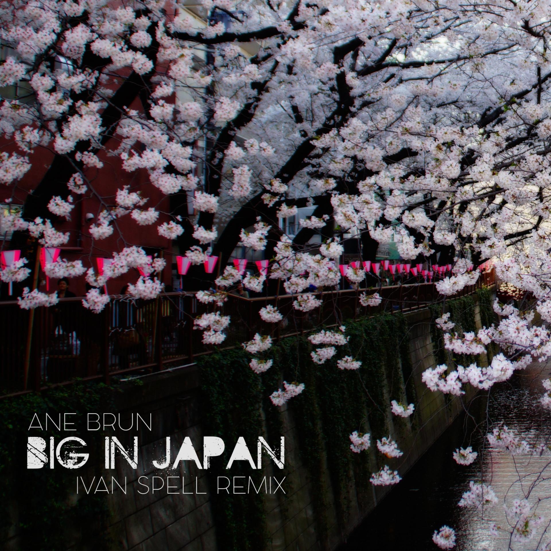 Постер альбома Big in Japan (Ivan Spell Remix)