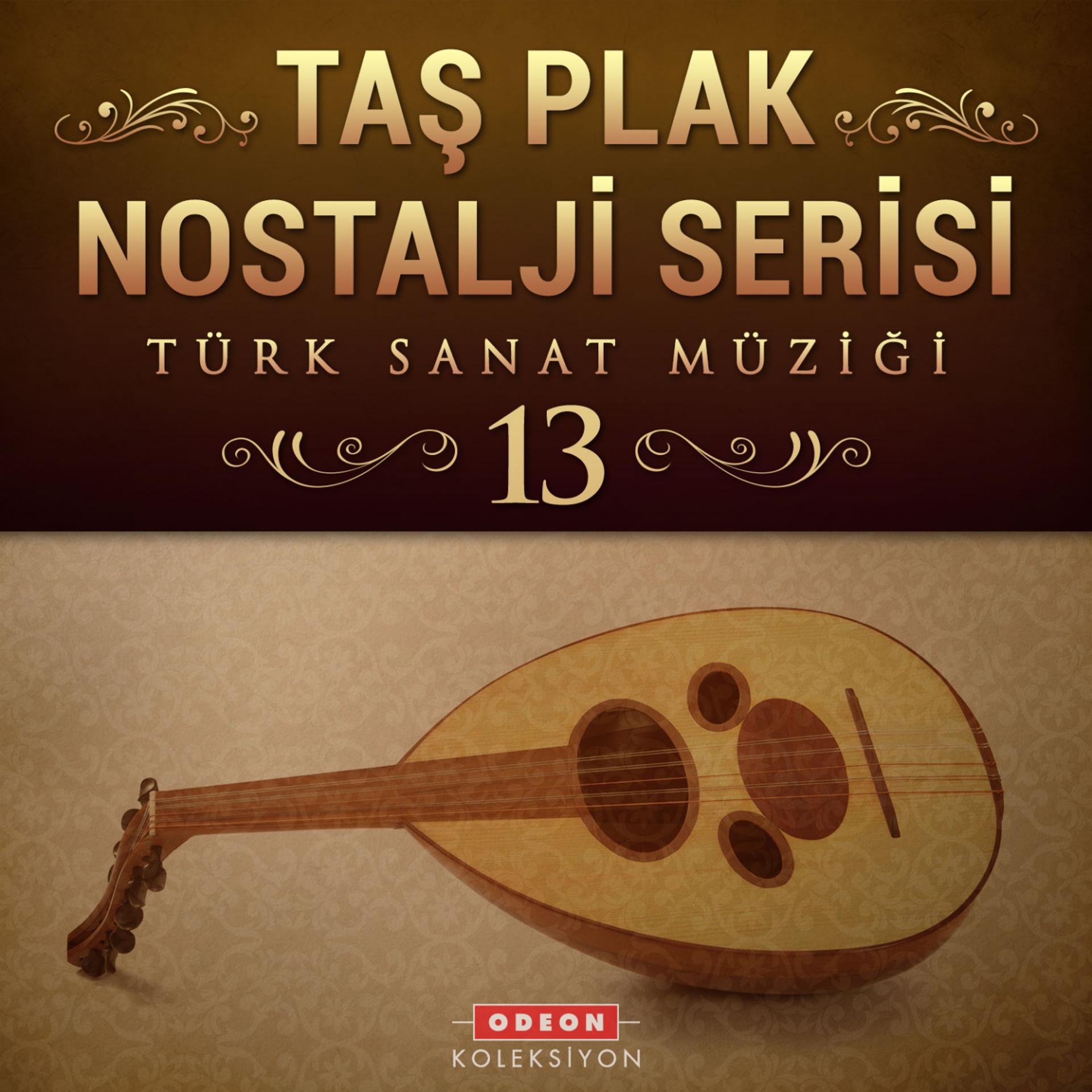 Постер альбома Taş Plak Nostalji Serisi, Vol. 13