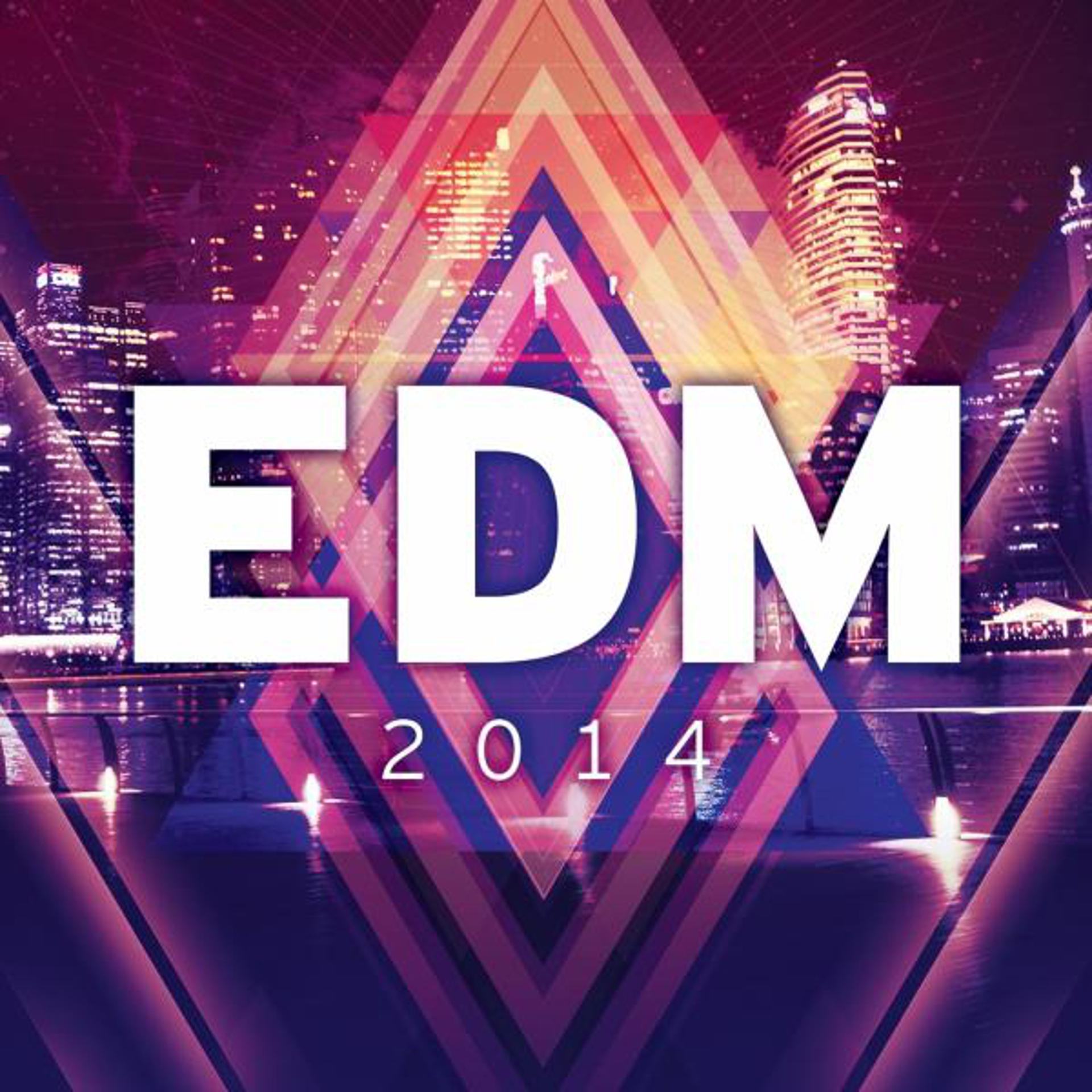 Постер альбома EDM 2014