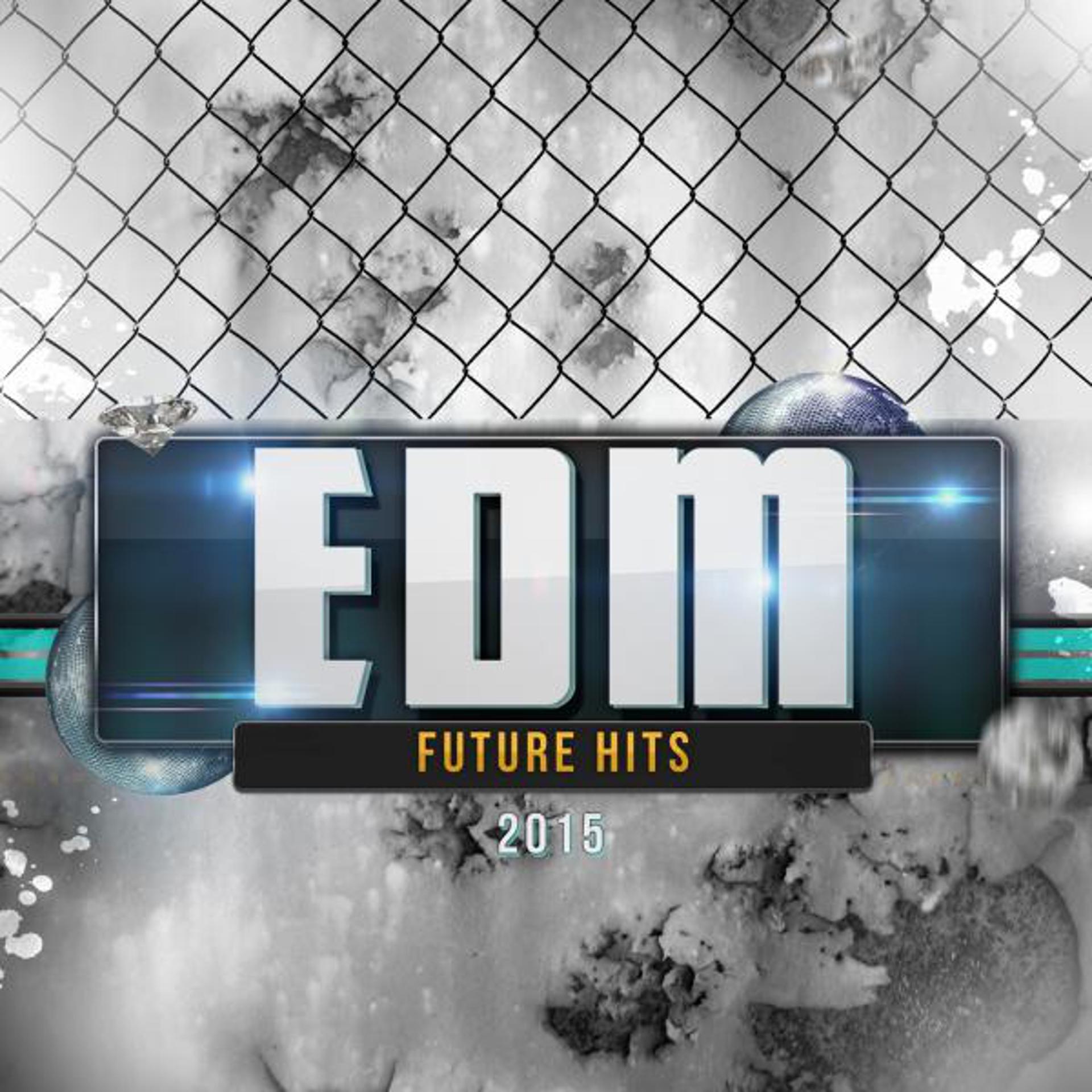 Постер альбома EDM Future Hits 2015