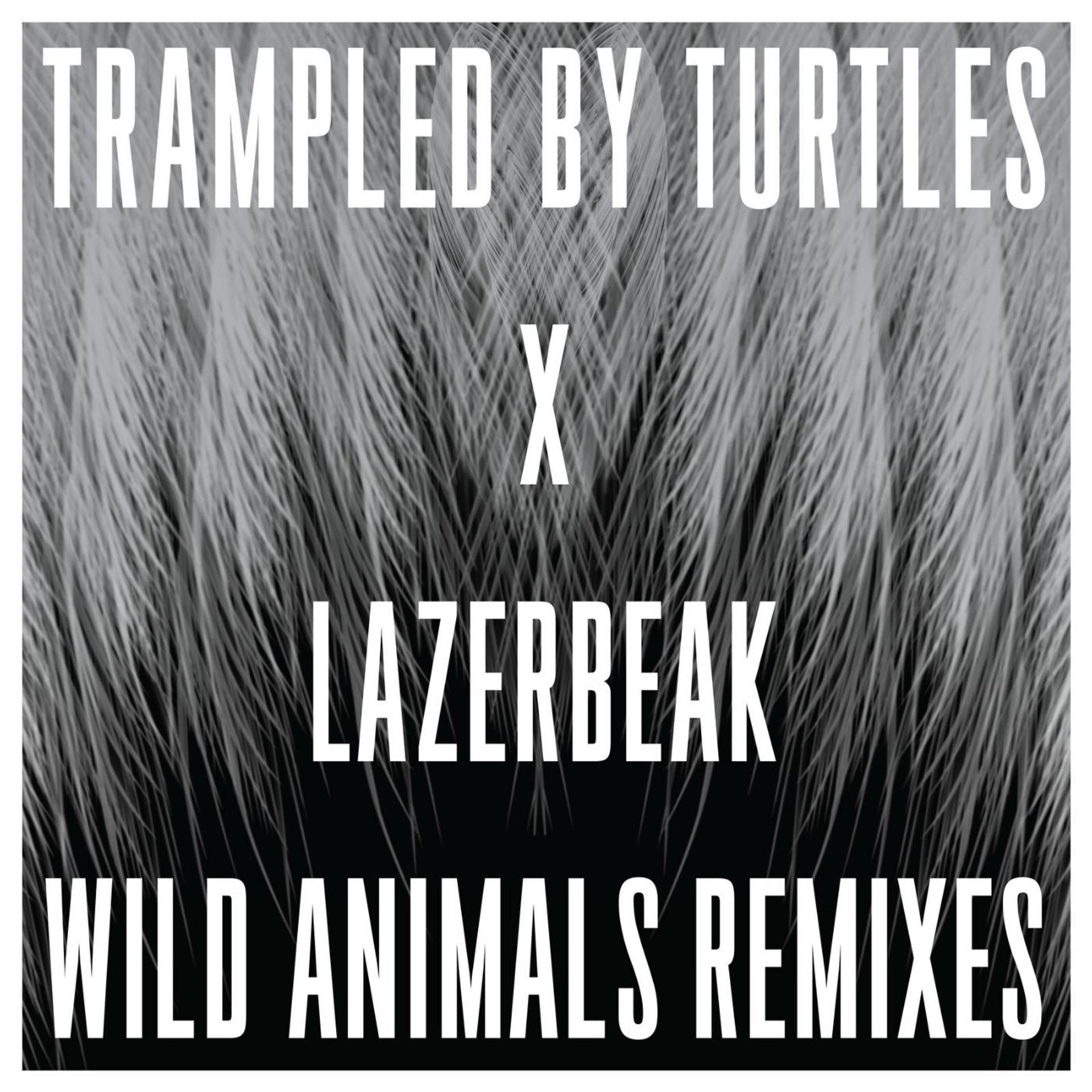 Постер альбома Wild Animals Remixes