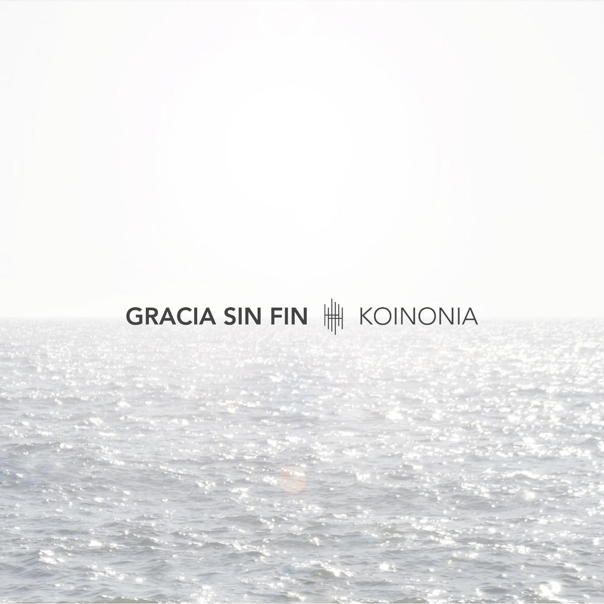 Постер альбома Gracia Sin Fin (feat. Evan Craft)