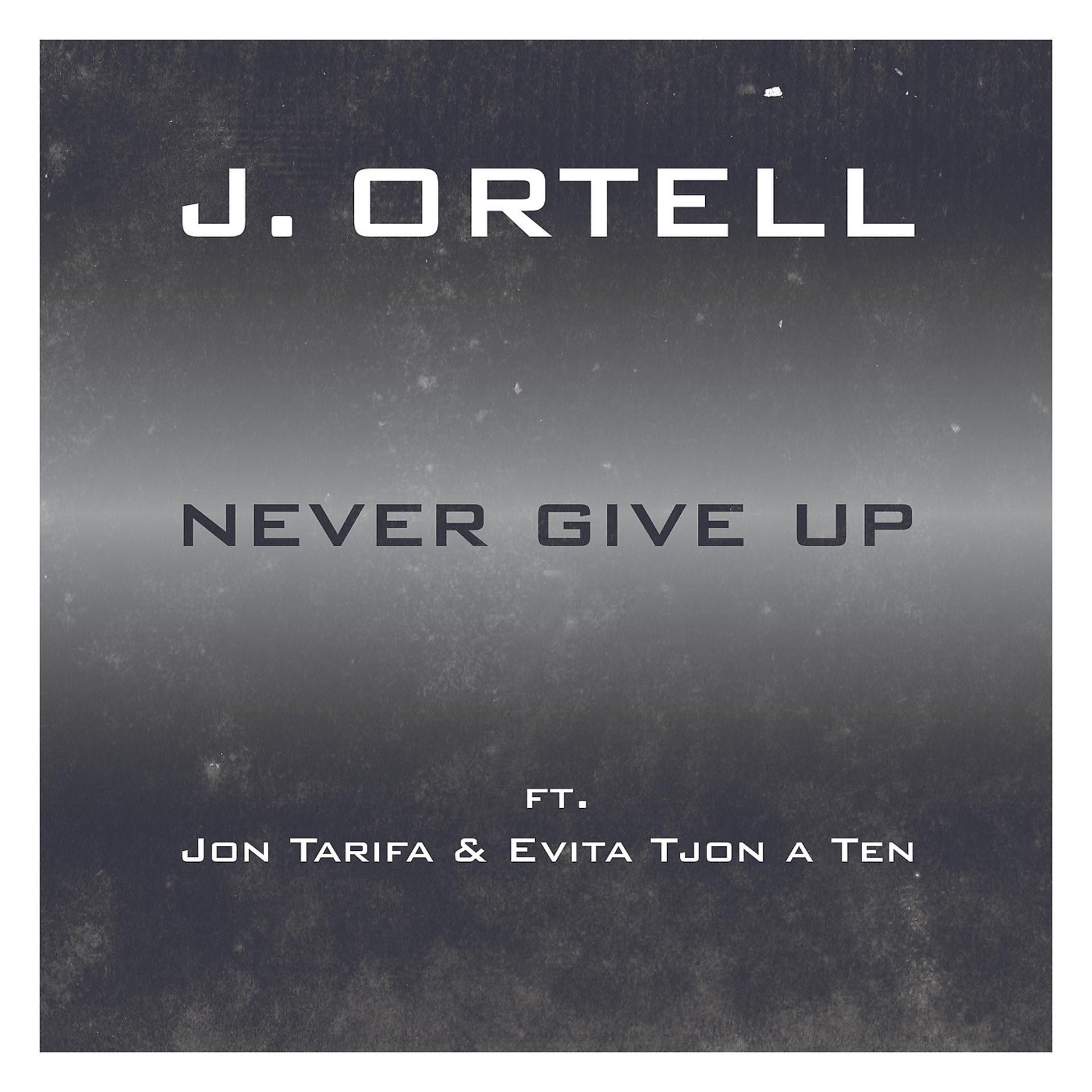 Постер альбома Never Give up (feat. Jon Tarifa & Evita Tjon a Ten)