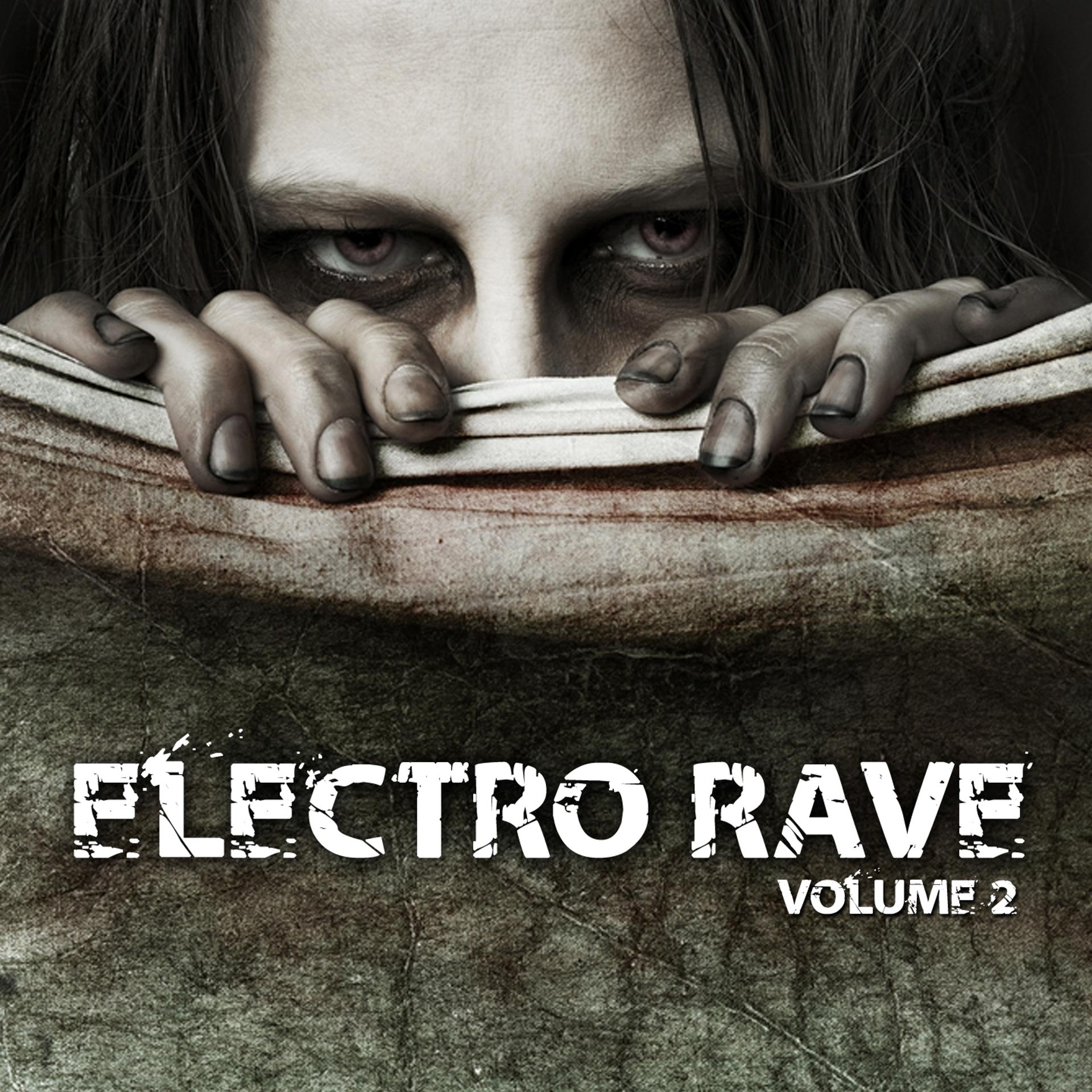 Постер альбома Electro Rave, Vol. 2