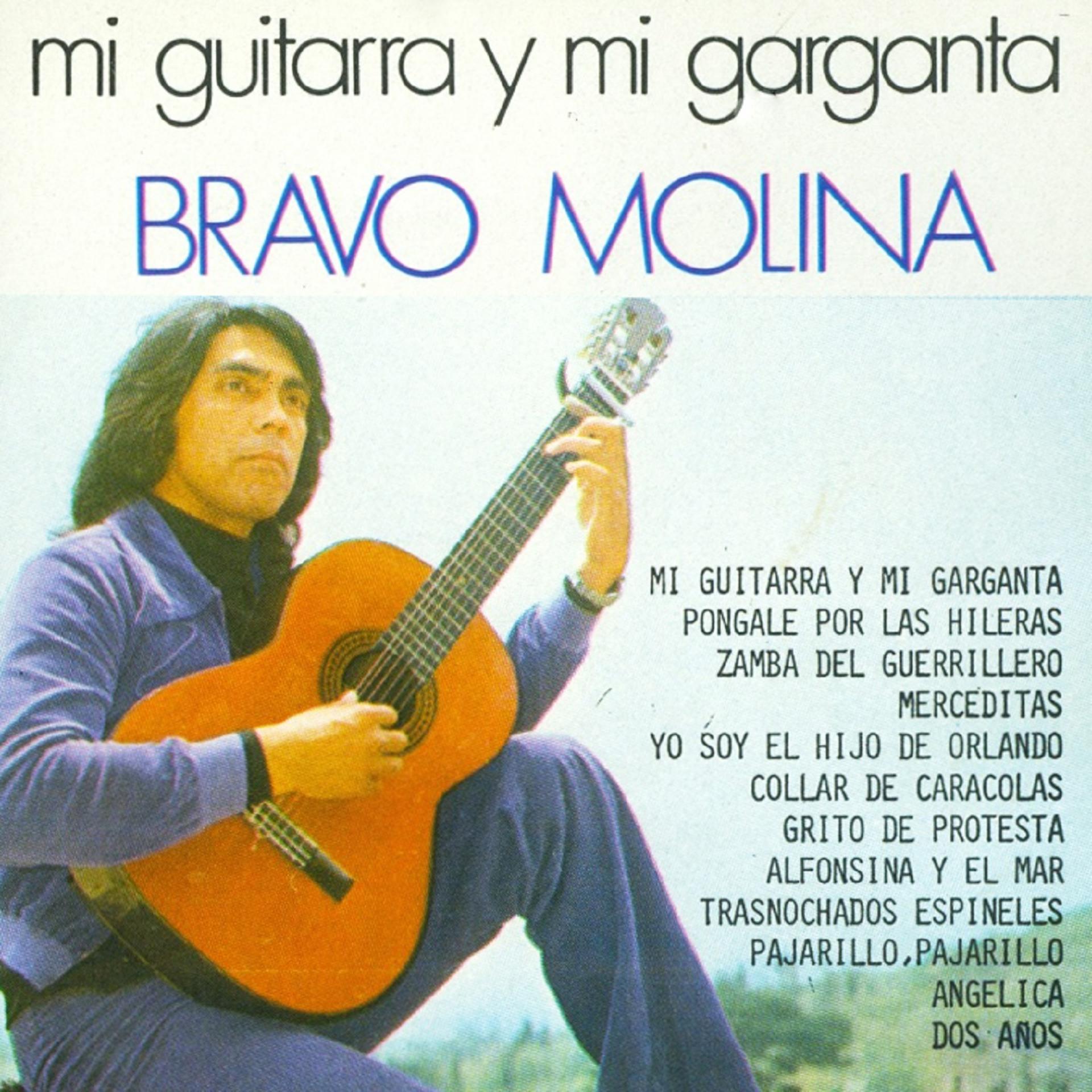 Постер альбома Mi Guitarra y Mi Garganta