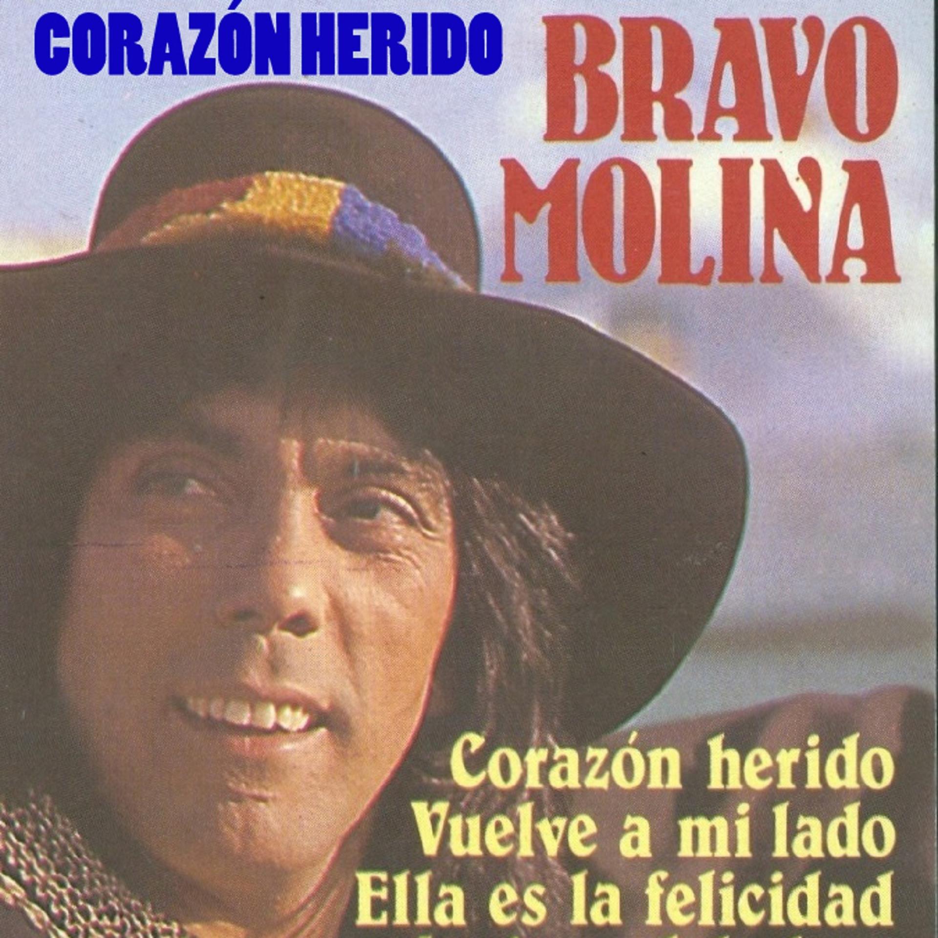 Постер альбома Corazón Herido