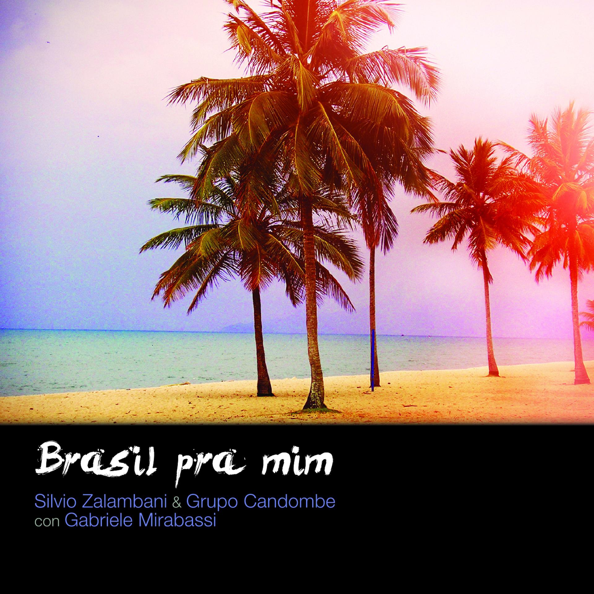 Постер альбома Brasil pra Mim