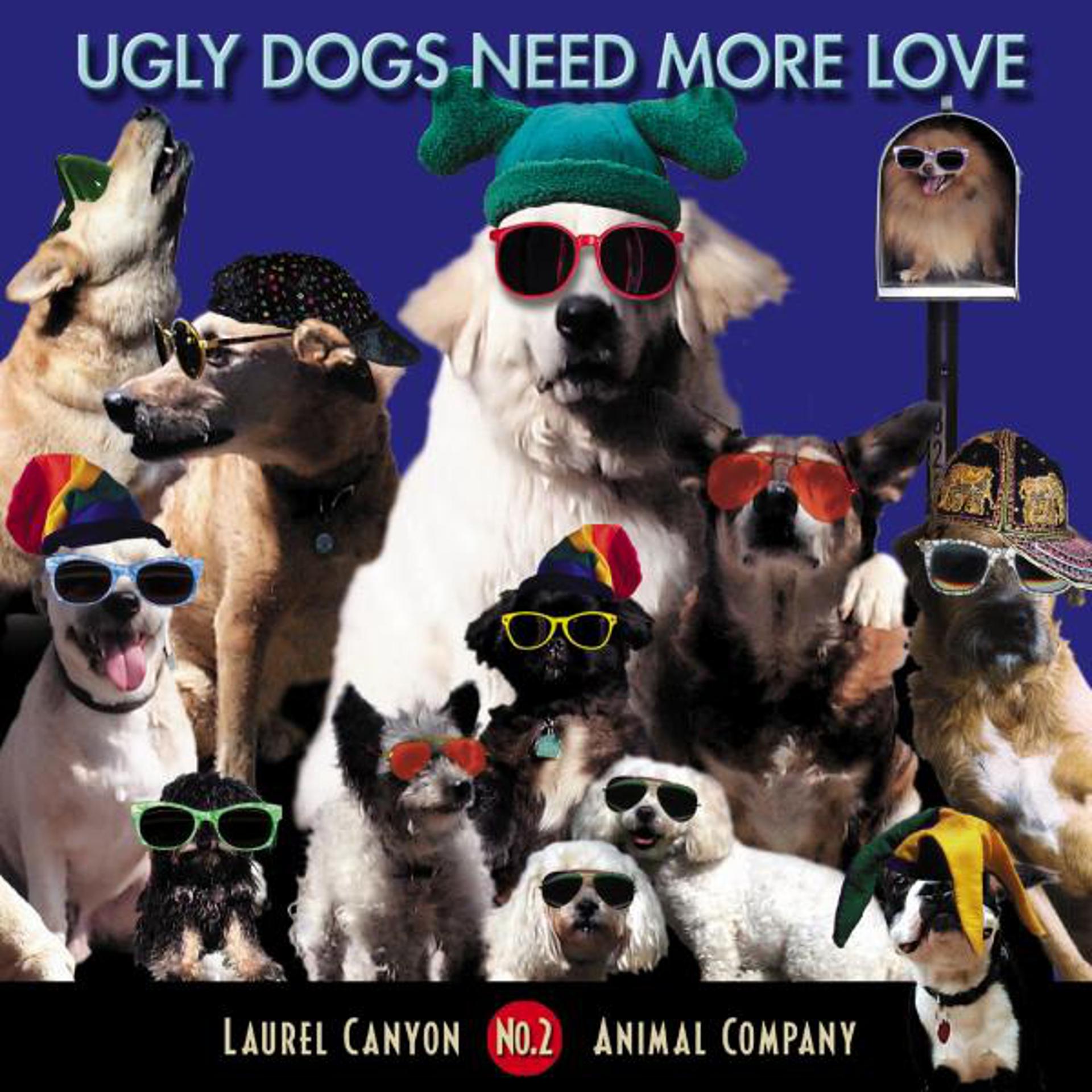 Постер альбома Ugly Dogs Need More Love