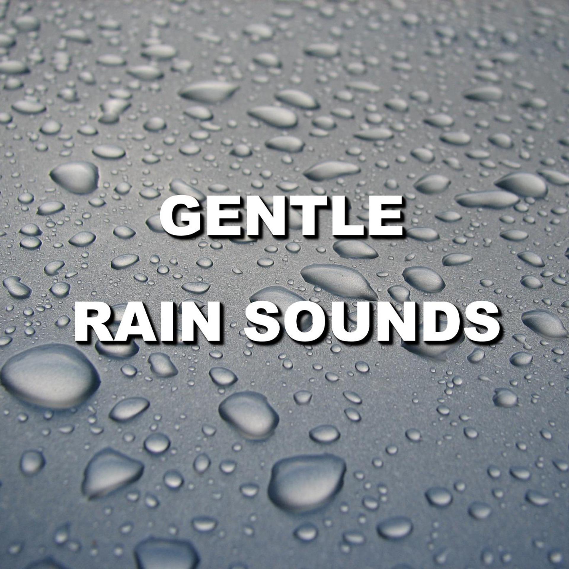 Постер альбома Gentle Rain Sounds