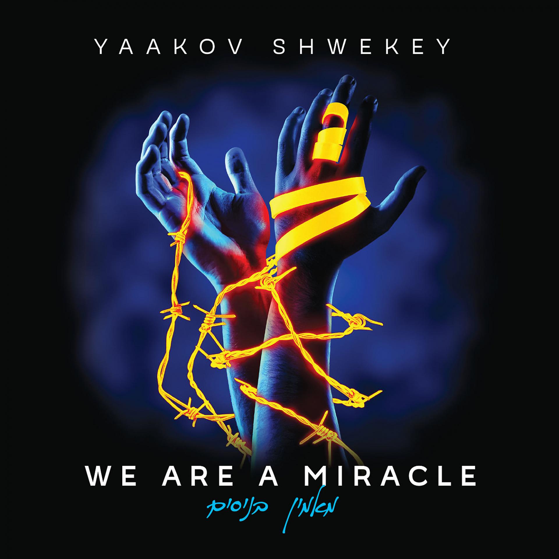 Постер альбома We Are a Miracle