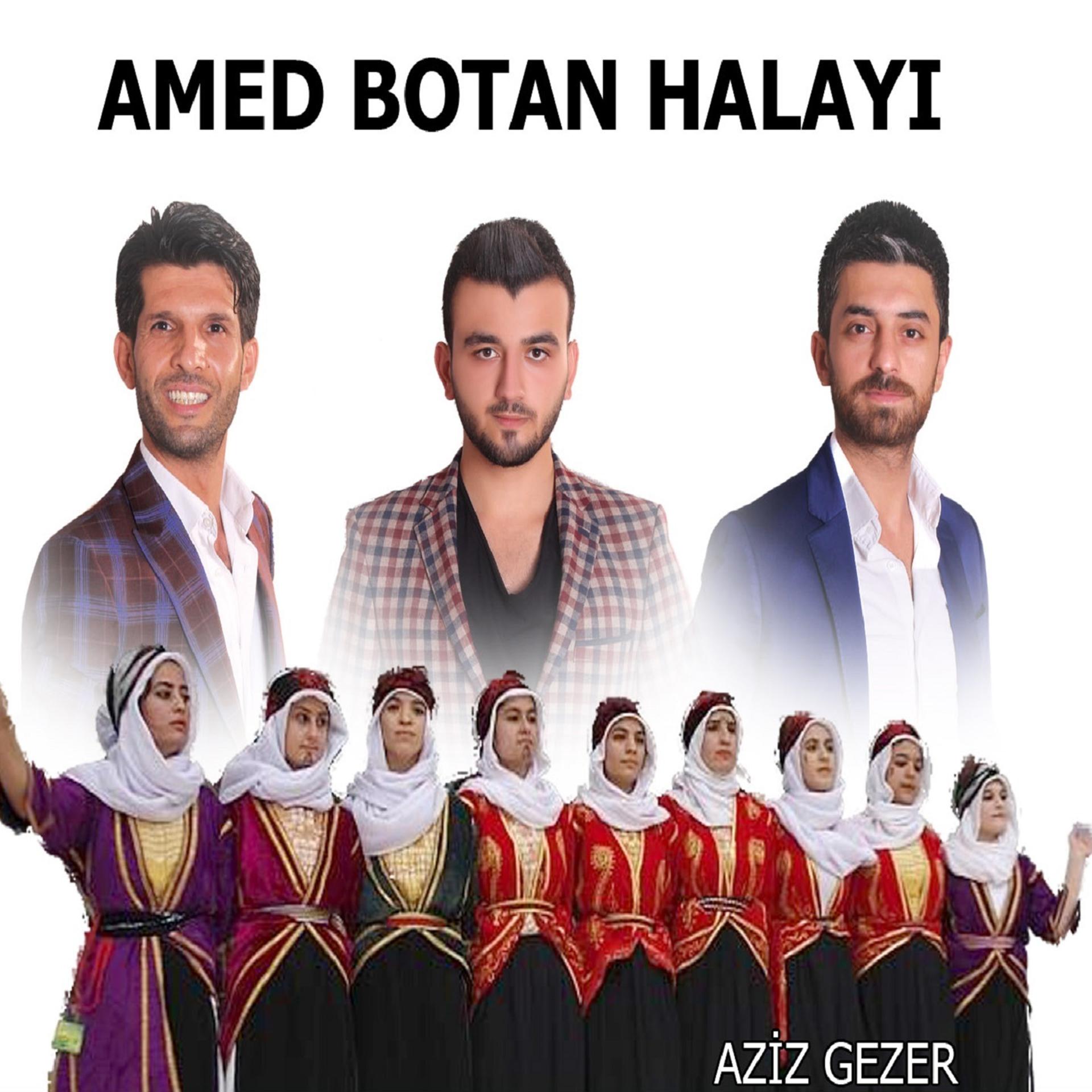 Постер альбома Amed Botan Halayı